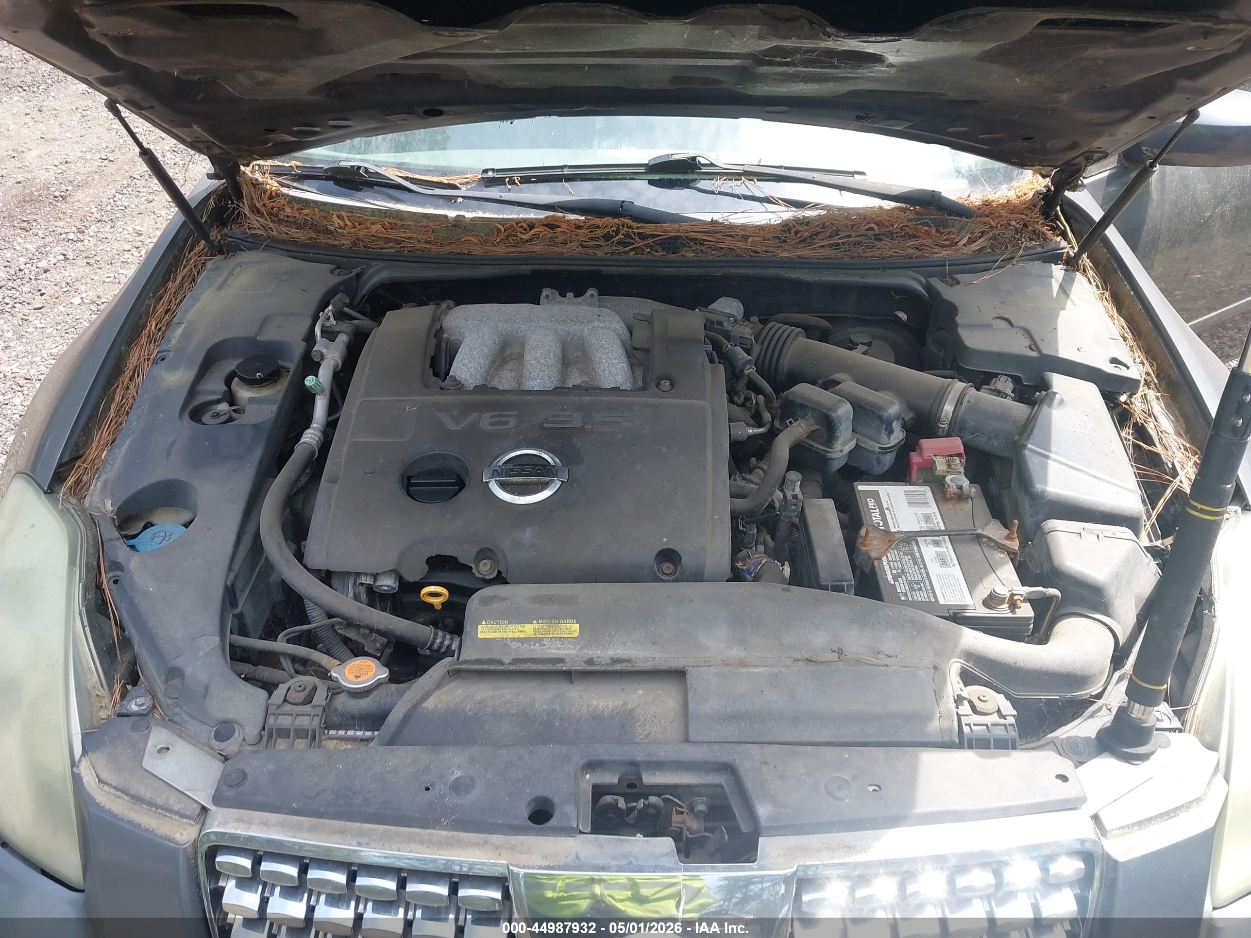 NISSAN MAXIMA image 10