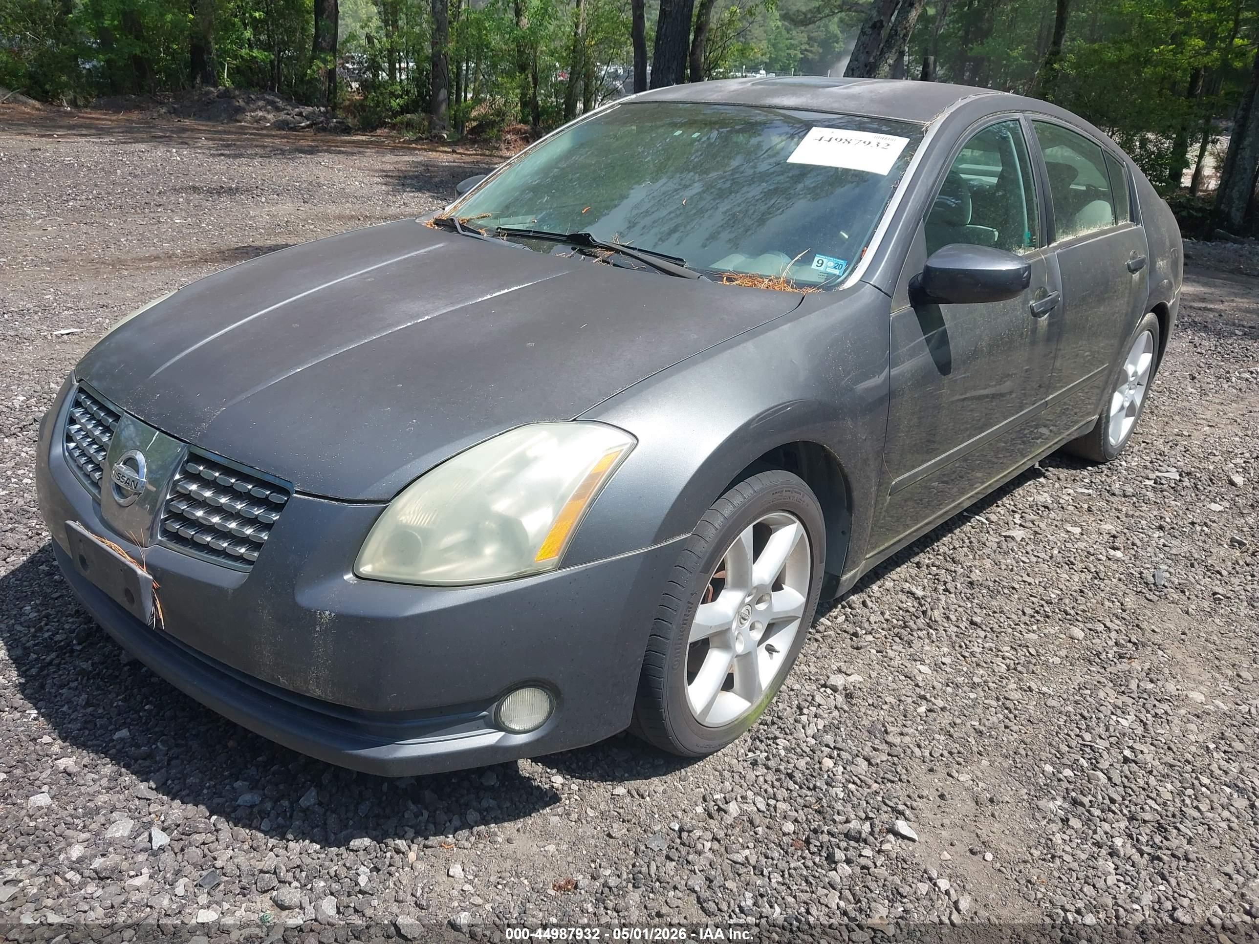 NISSAN MAXIMA image 2