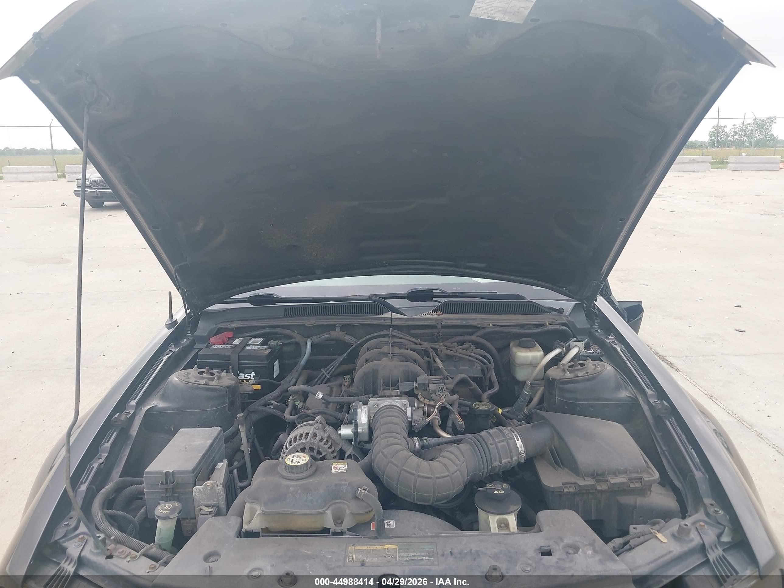 FORD MUSTANG image 10