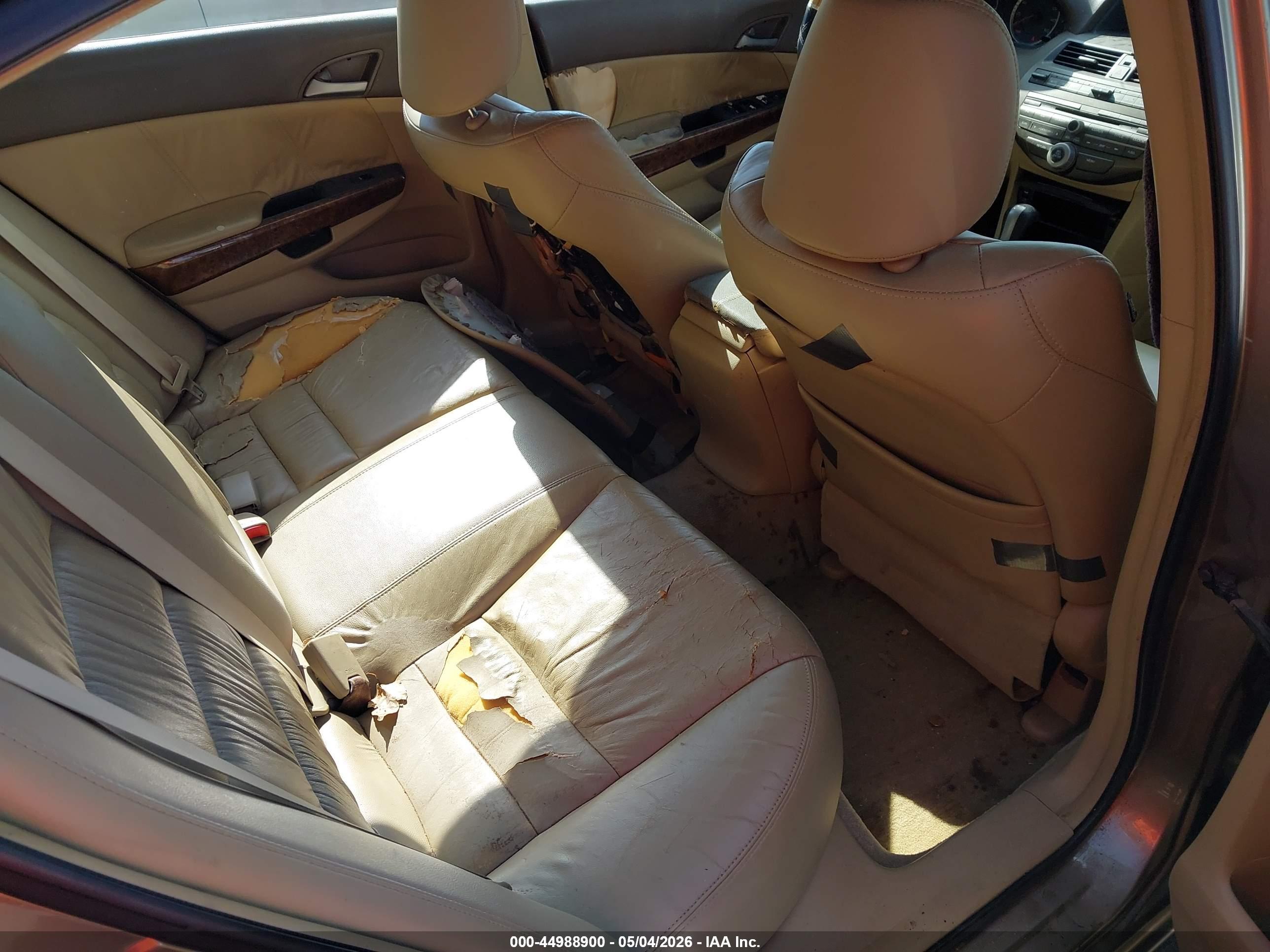 HONDA ACCORD image 8