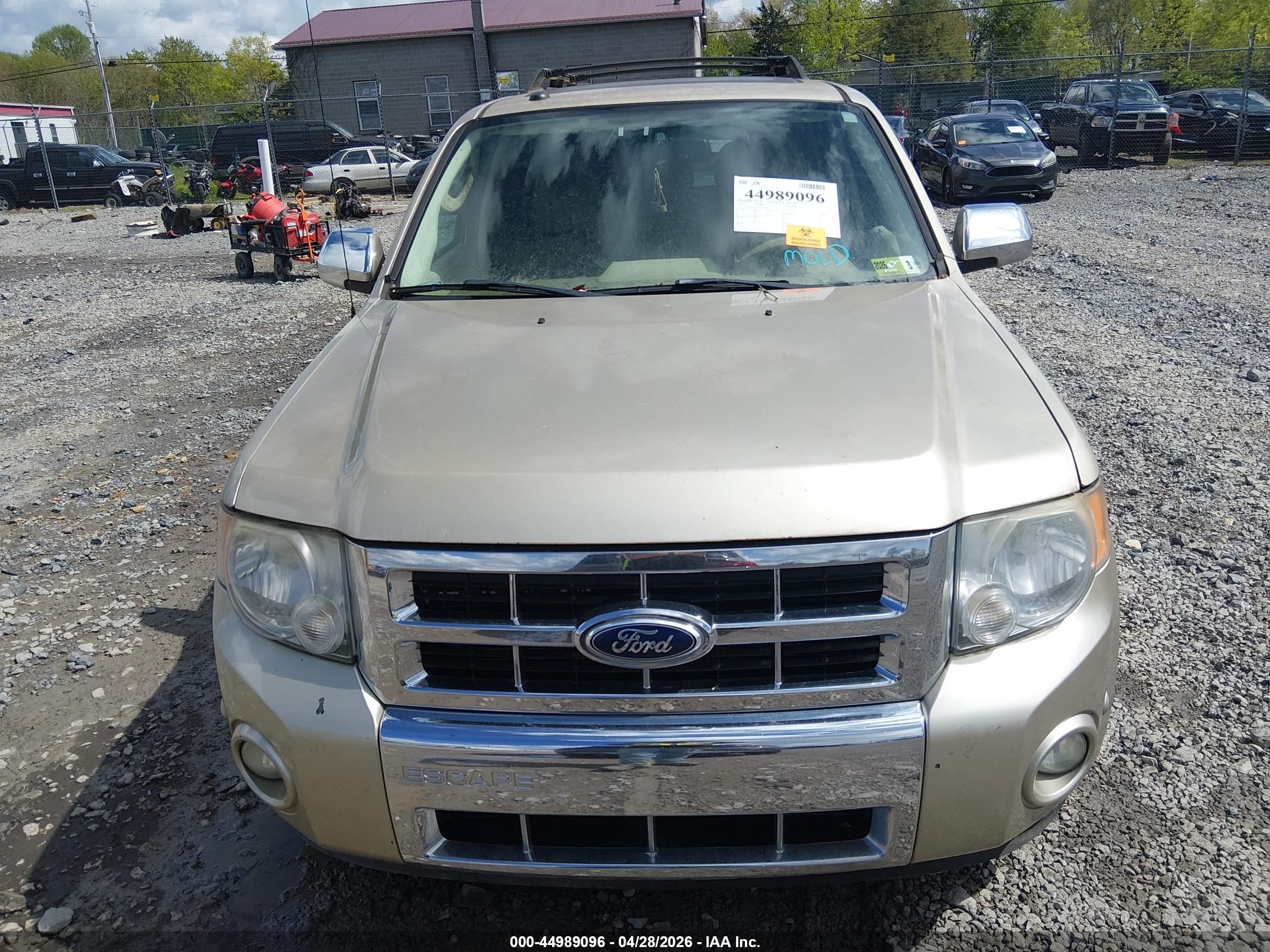 FORD ESCAPE image 6
