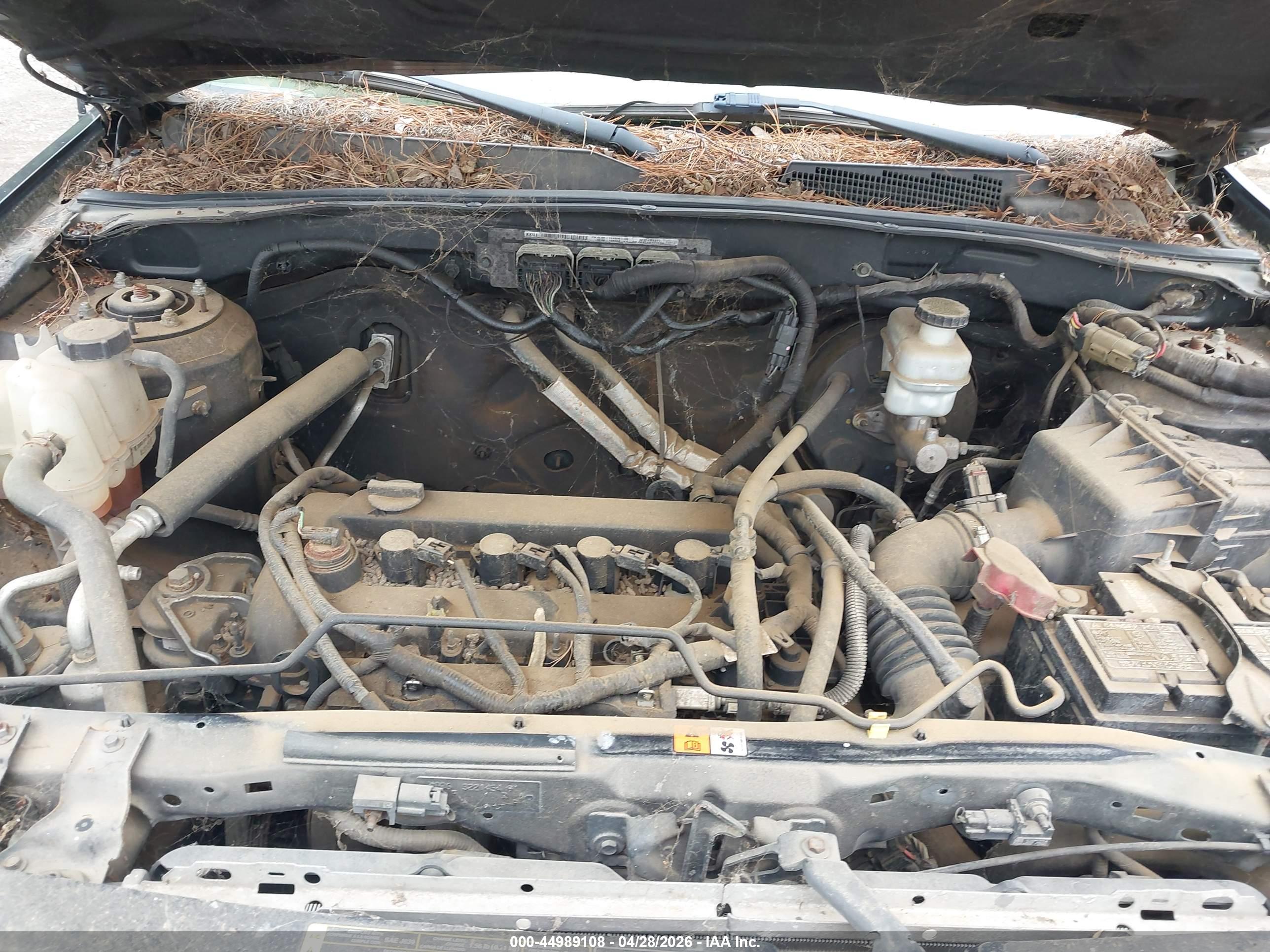 FORD ESCAPE image 10