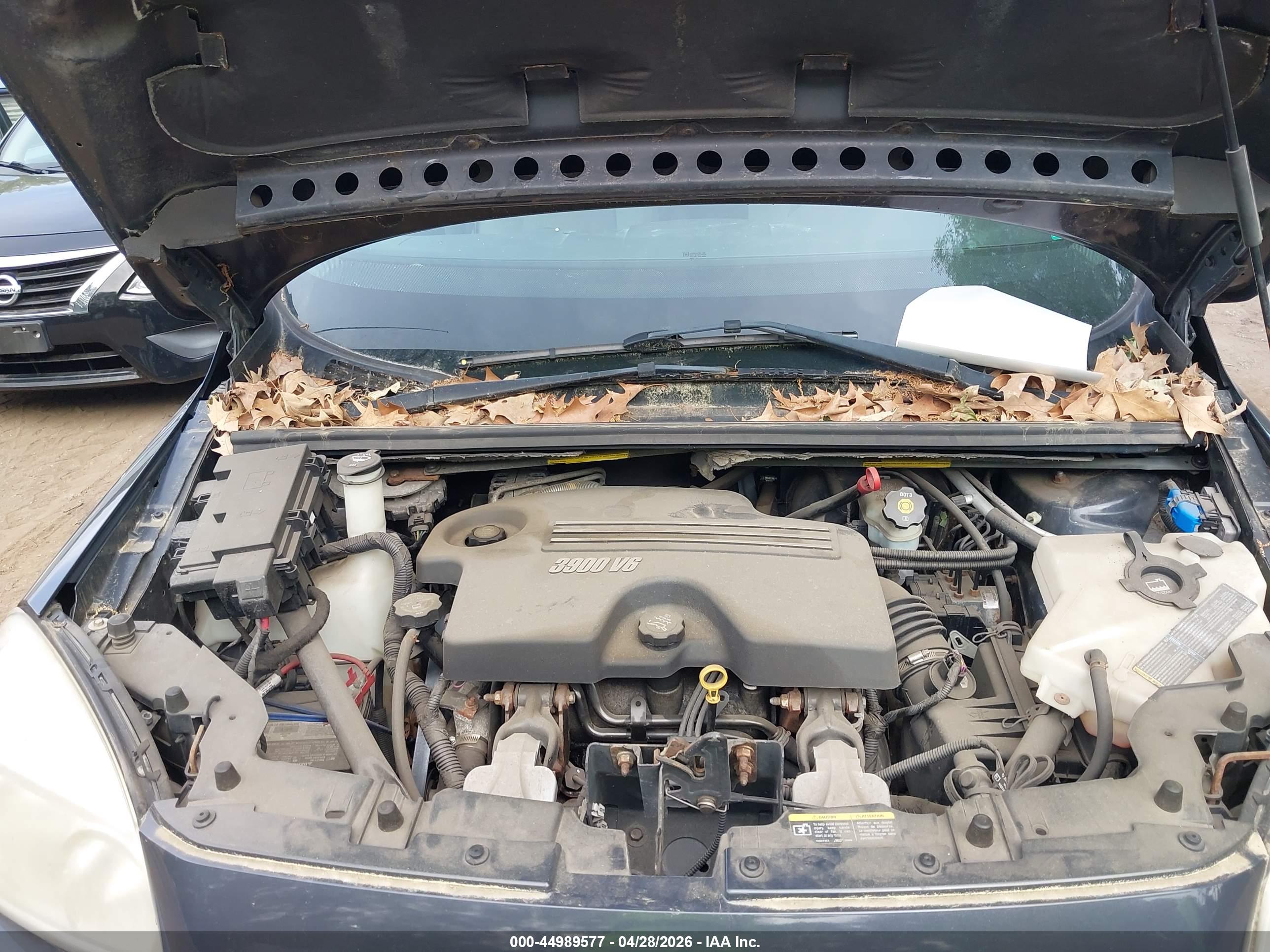 CHEVROLET UPLANDER image 10