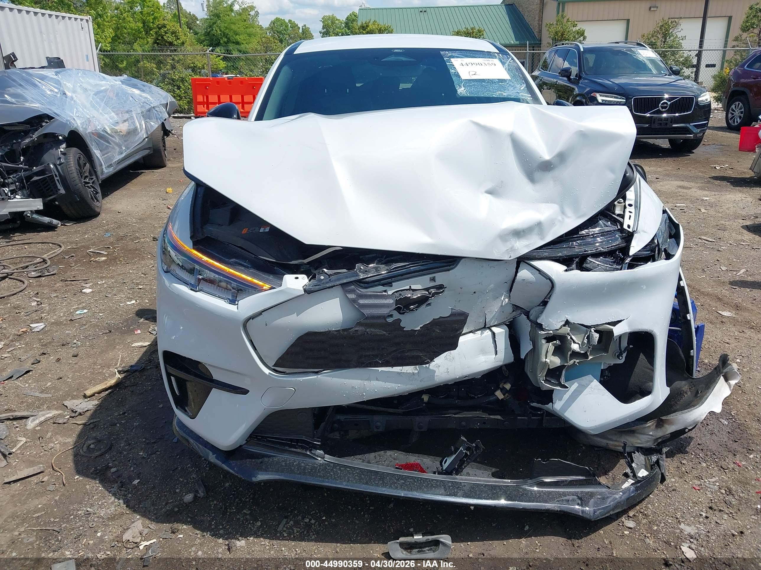 FORD MUSTANG image 6