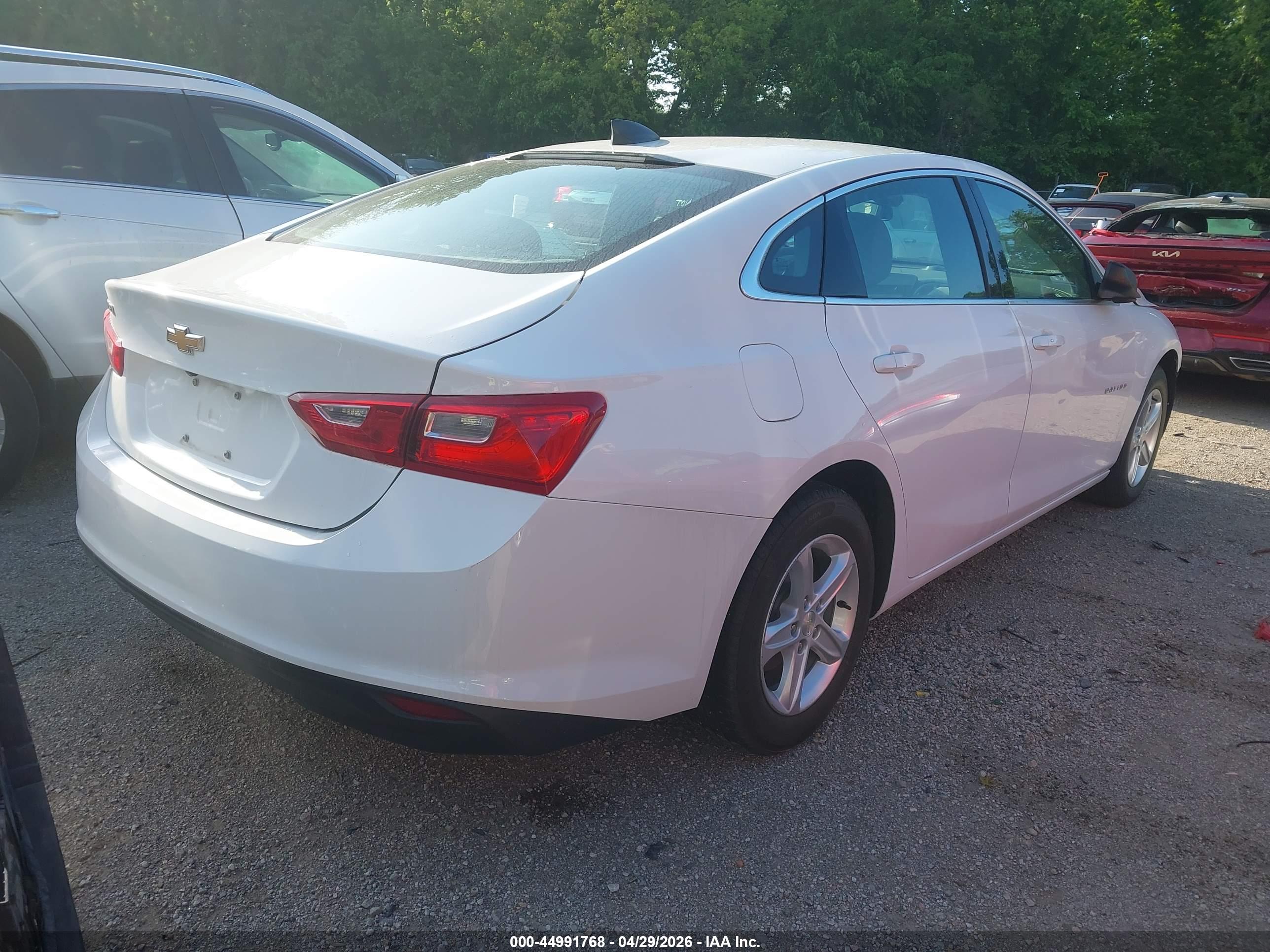 CHEVROLET MALIBU image 4