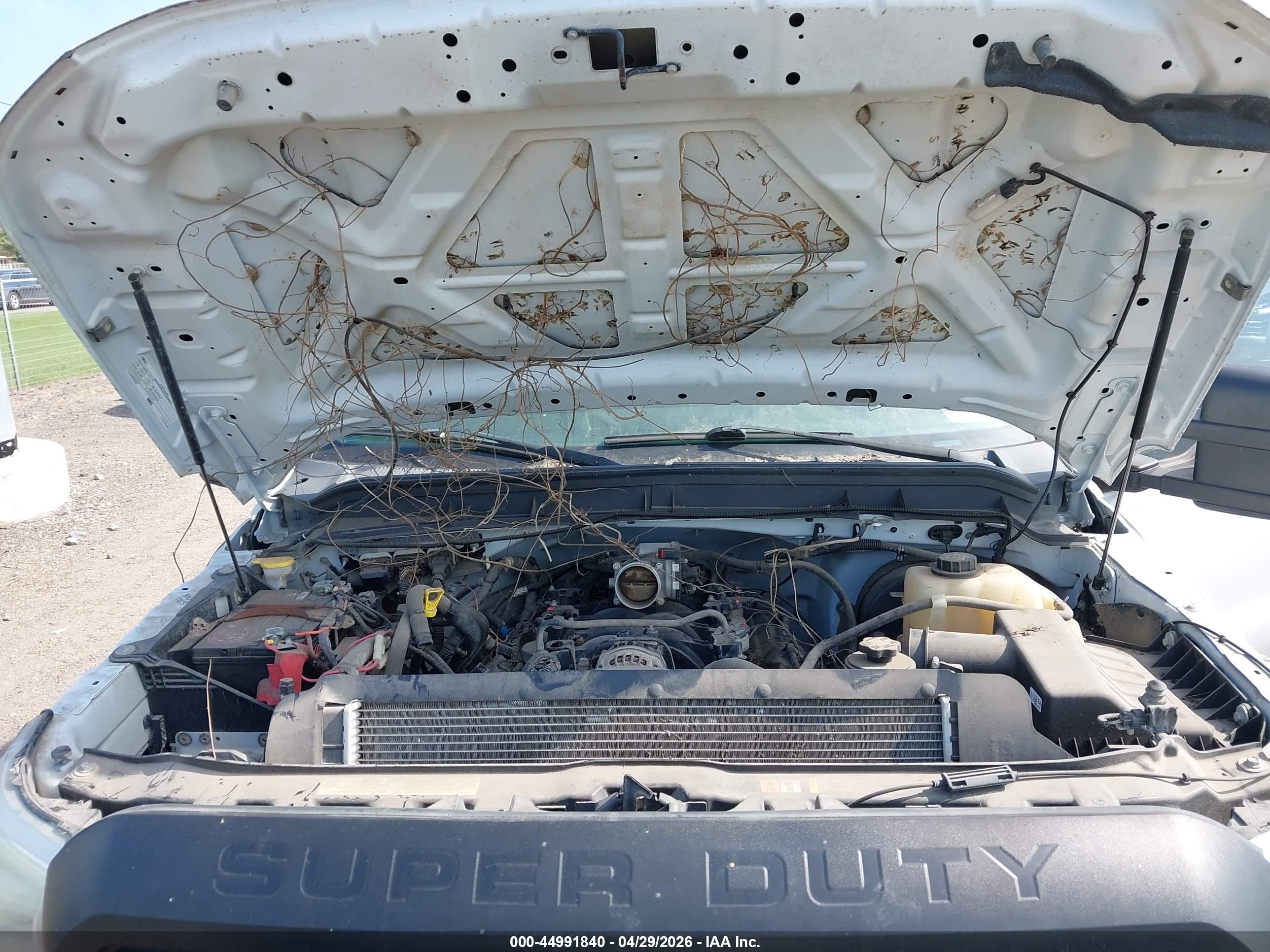 FORD F-250 image 10