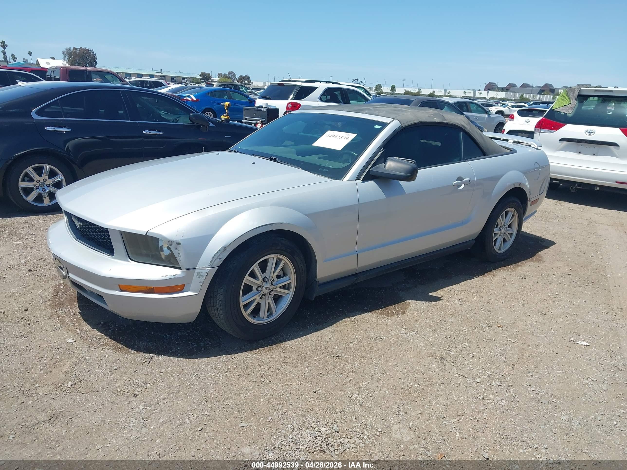 FORD MUSTANG image 2