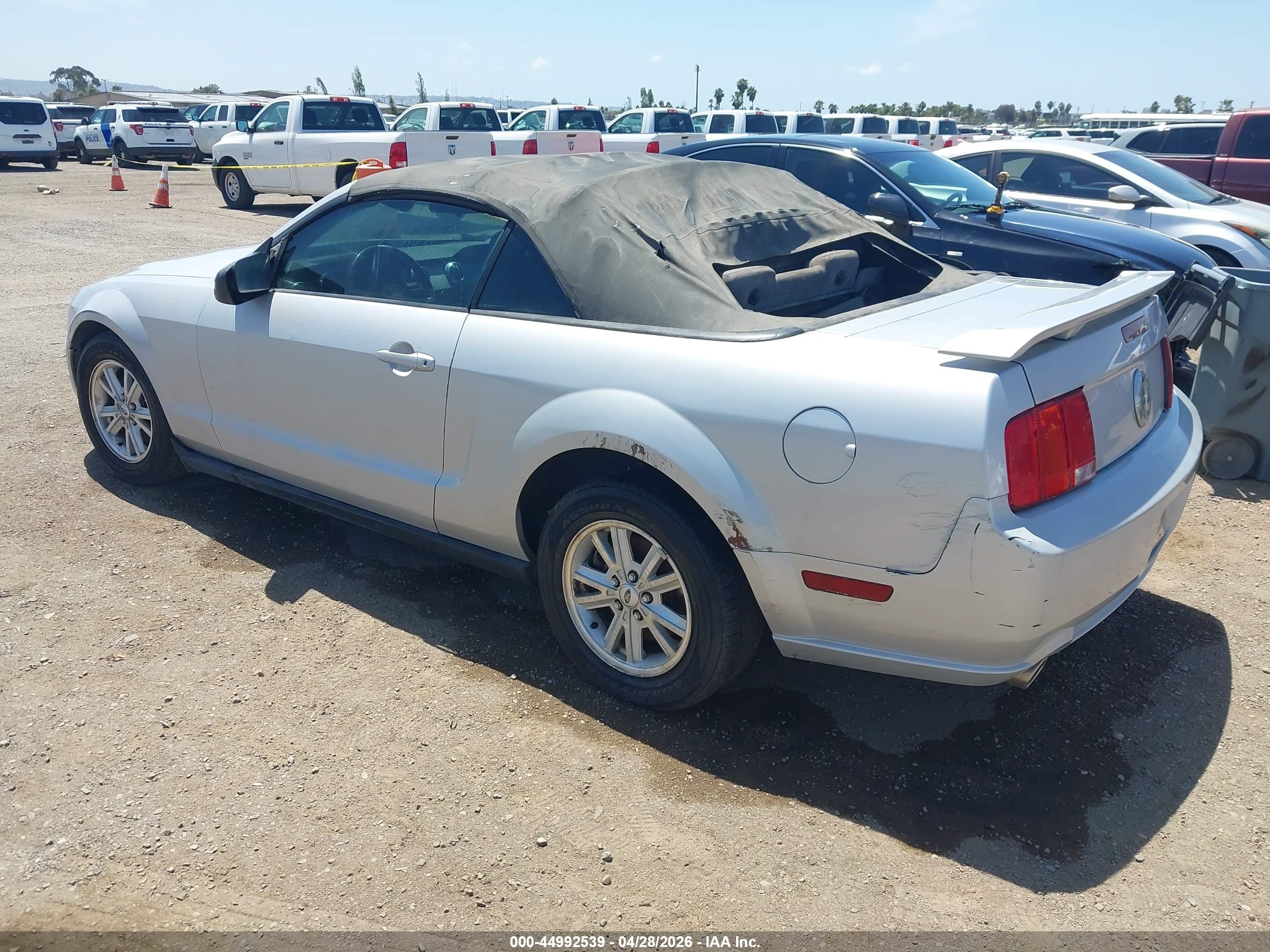 FORD MUSTANG image 3
