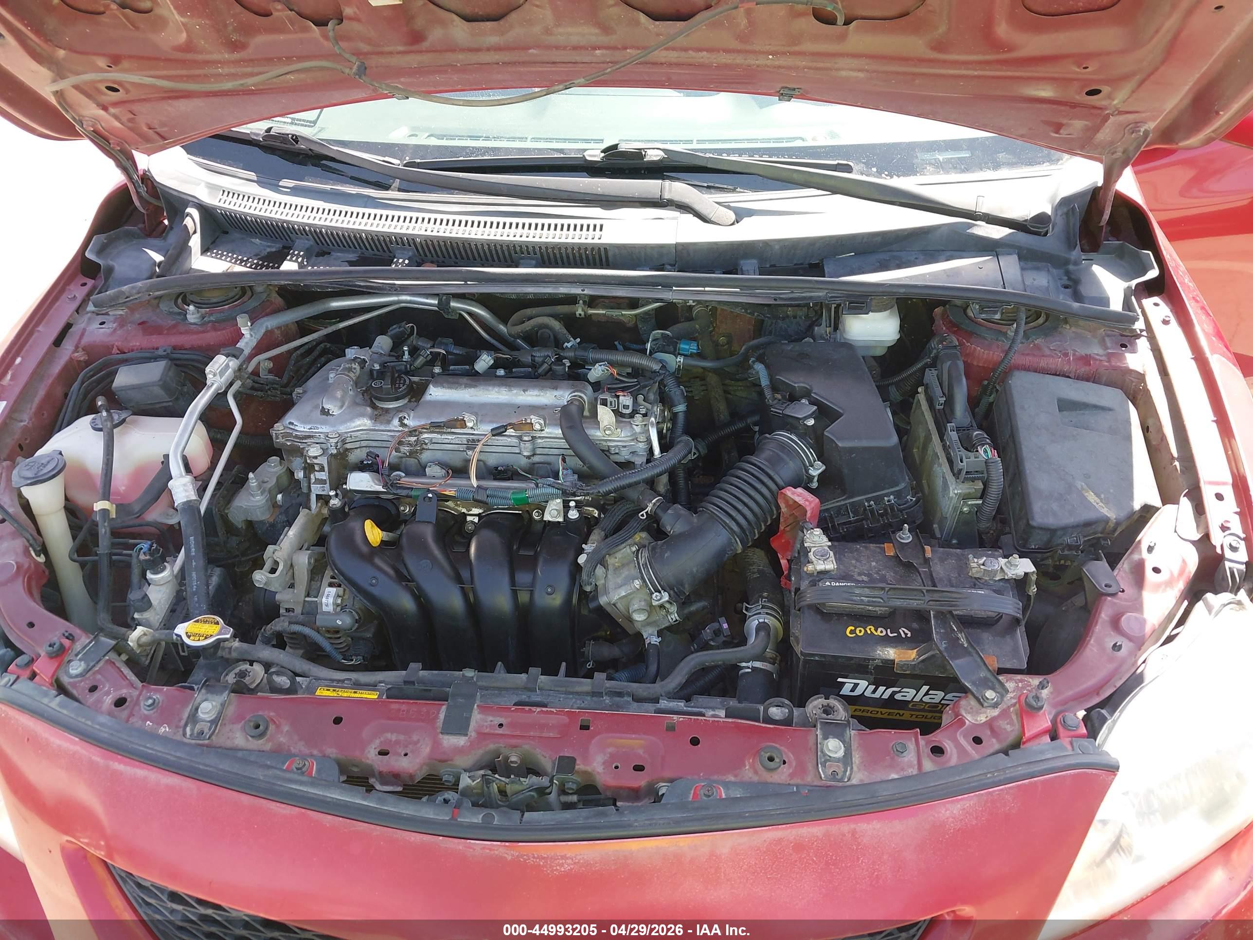 TOYOTA COROLLA image 10