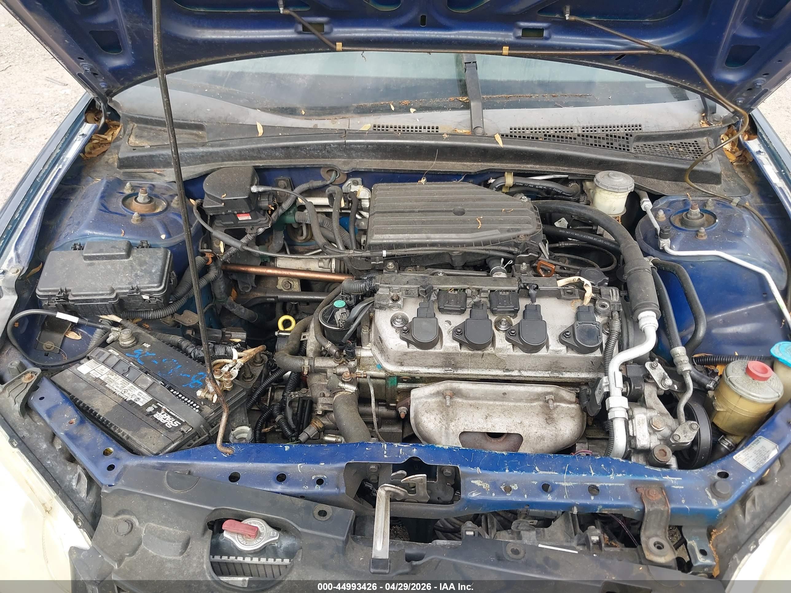 HONDA CIVIC image 10