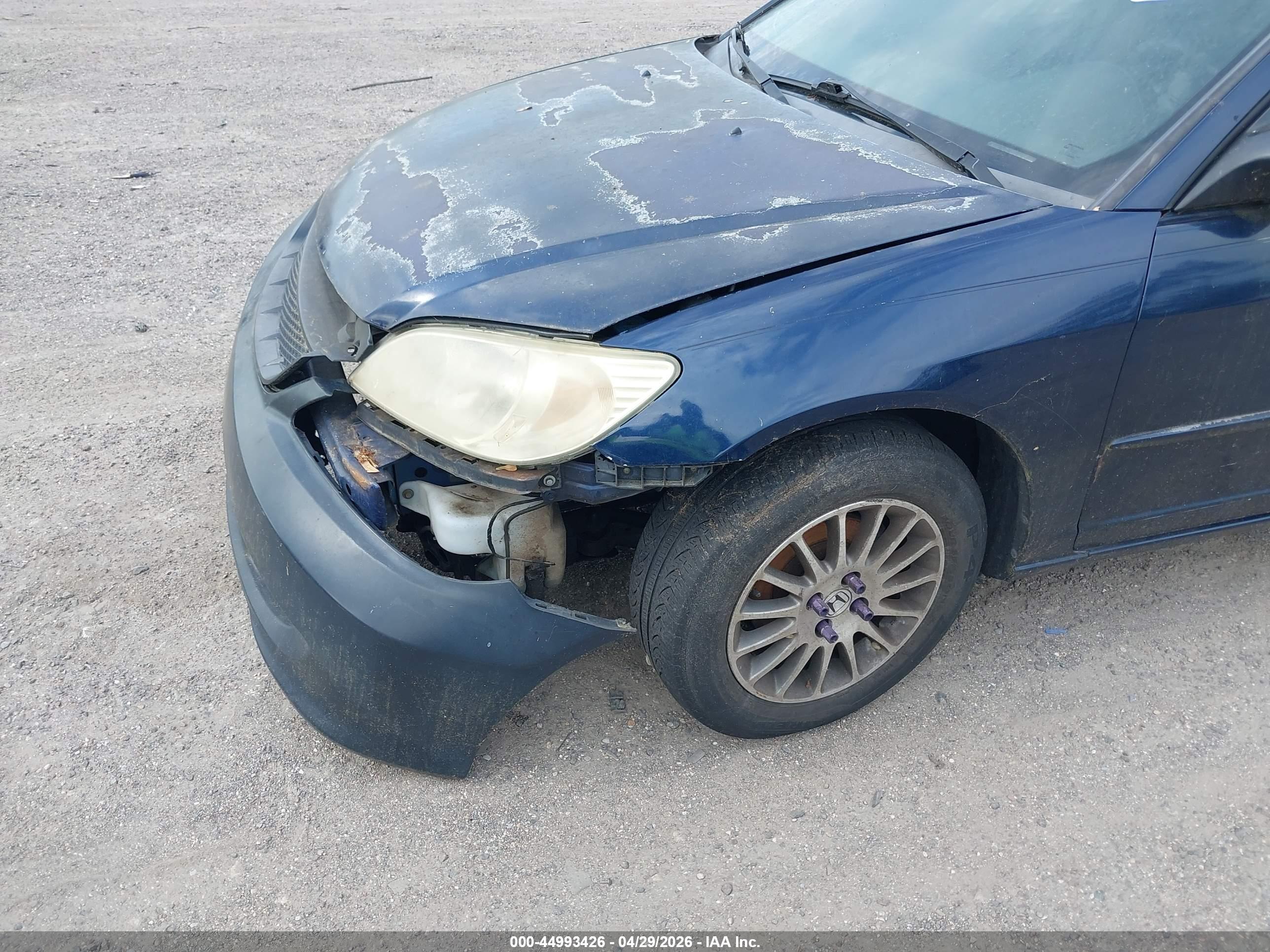 HONDA CIVIC image 6