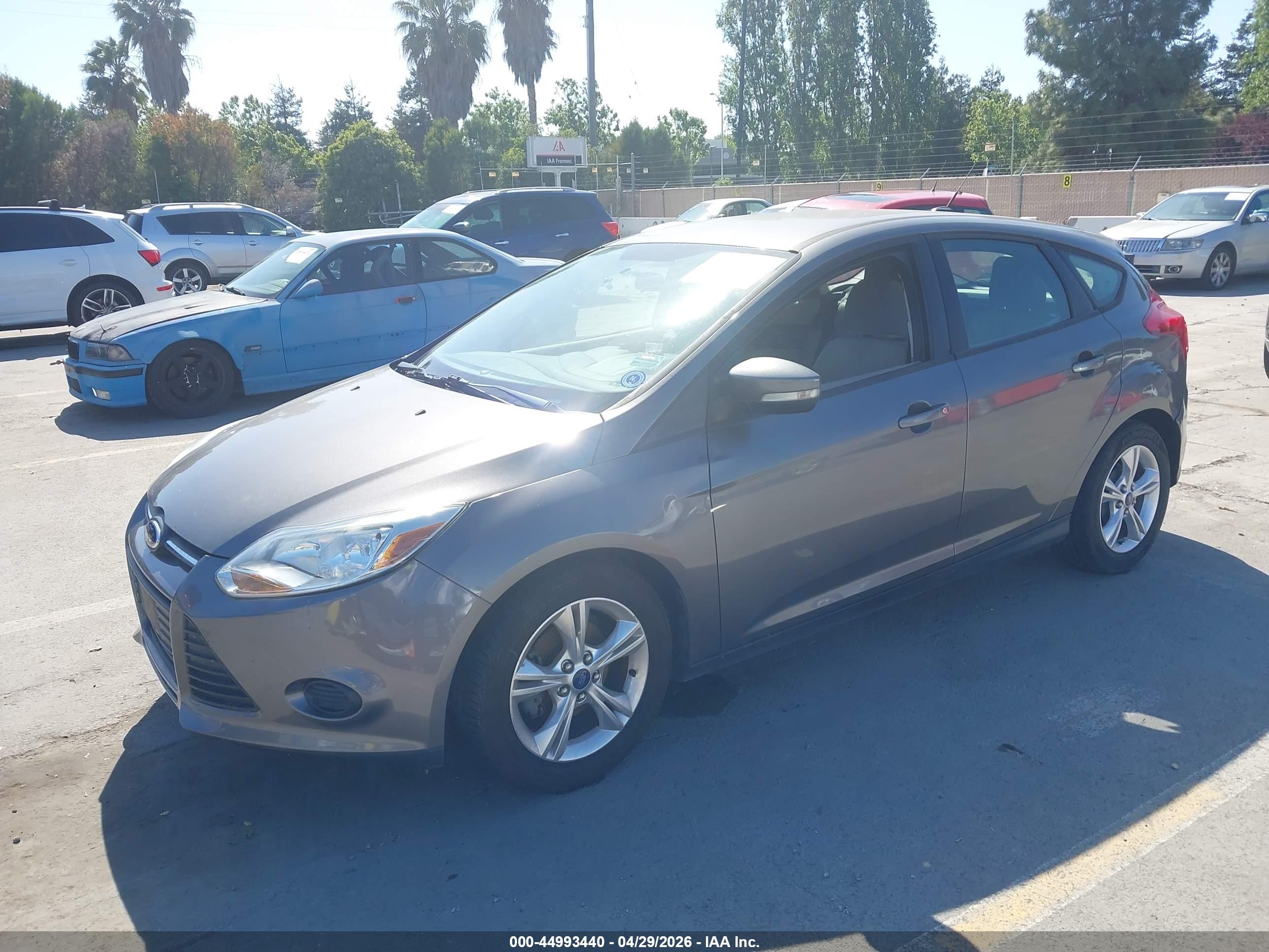 FORD FOCUS image 2
