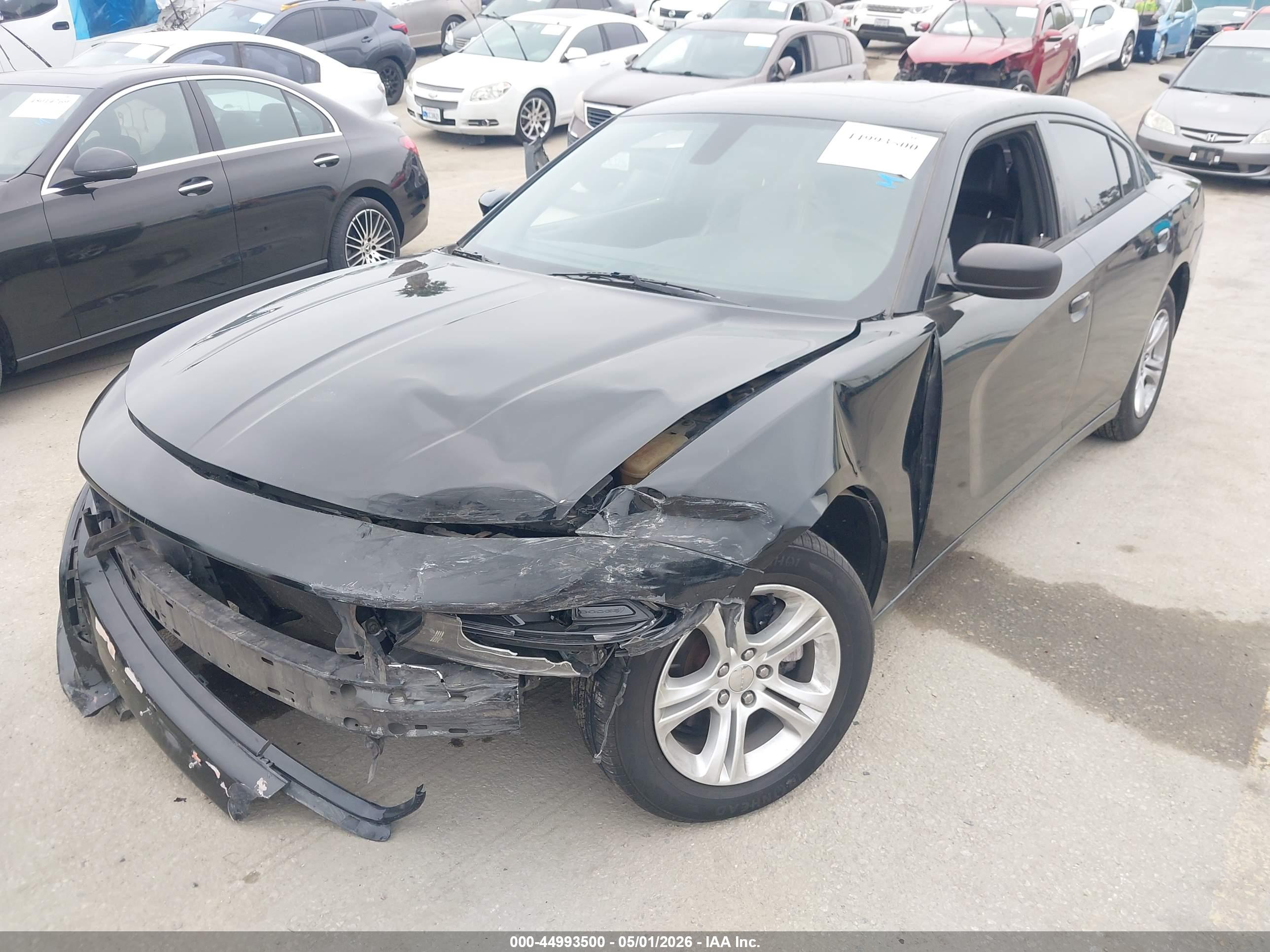 DODGE CHARGER image 2