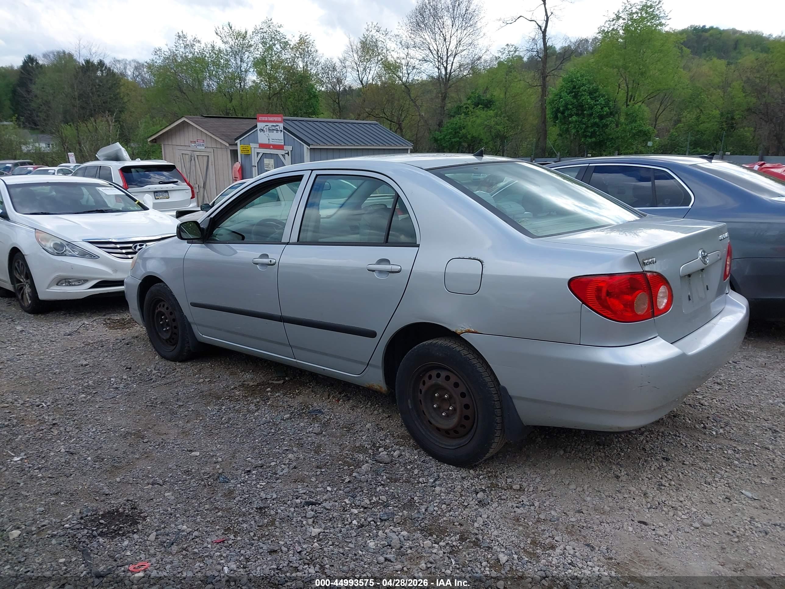 TOYOTA COROLLA image 3