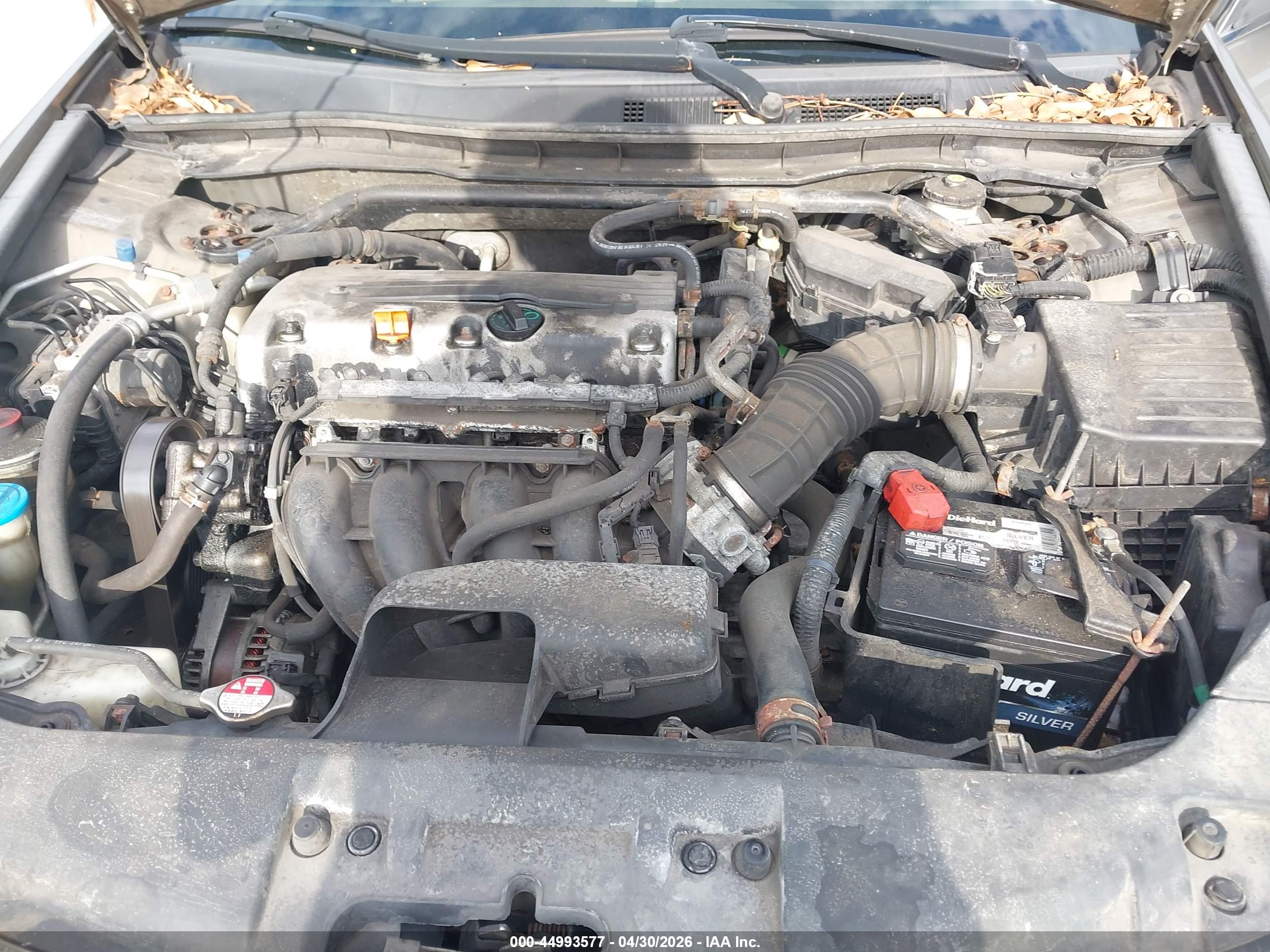 HONDA ACCORD image 10