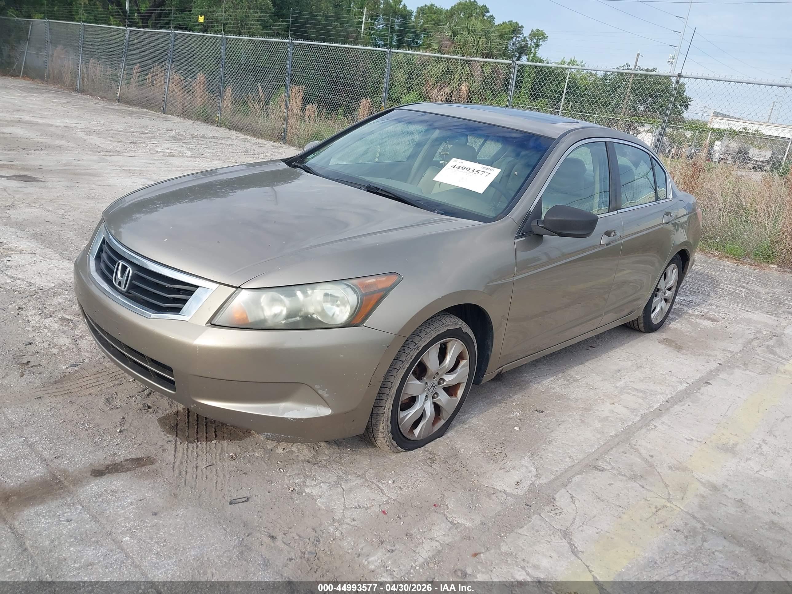 HONDA ACCORD image 2