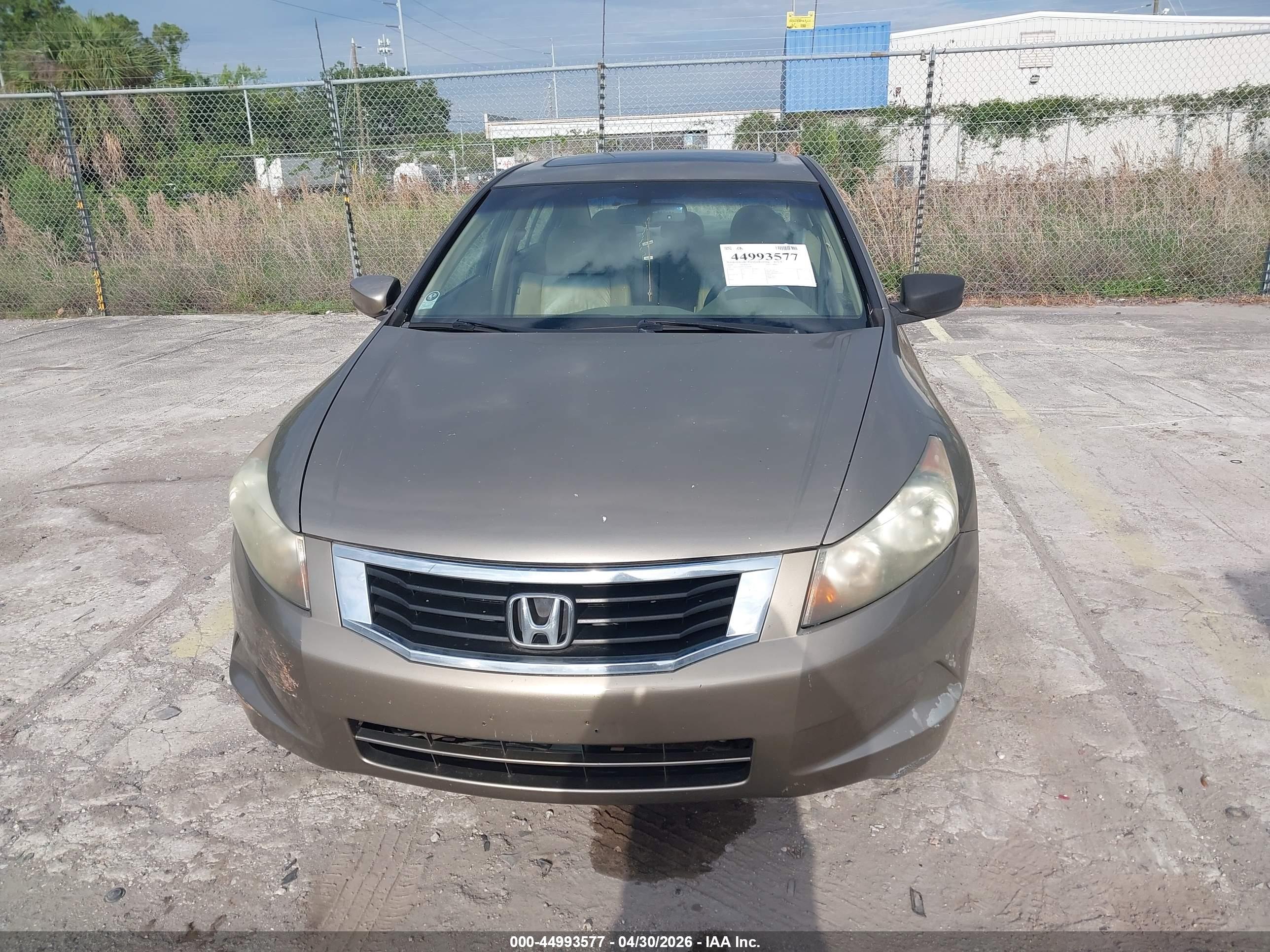HONDA ACCORD image 6