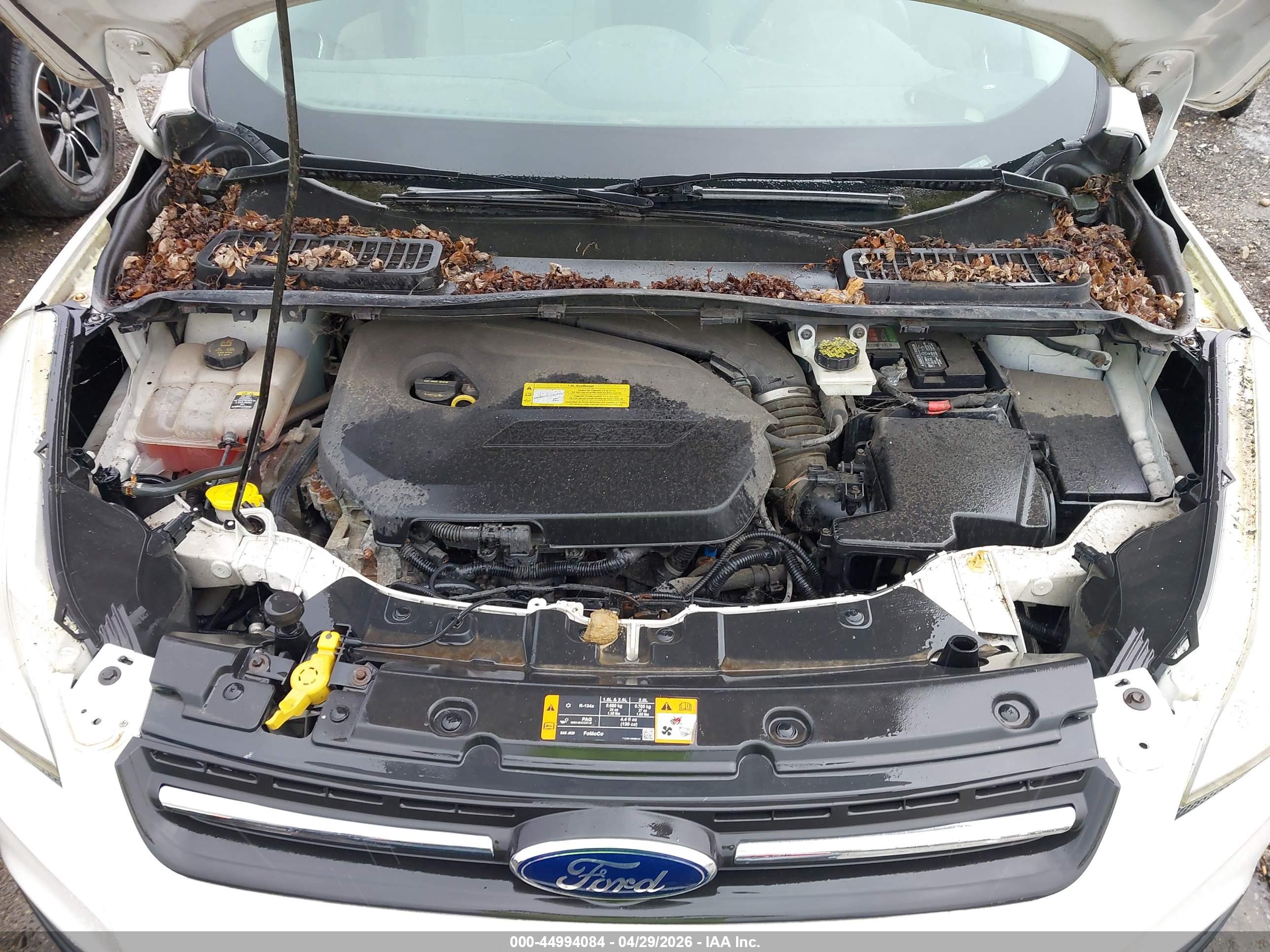 FORD ESCAPE image 10