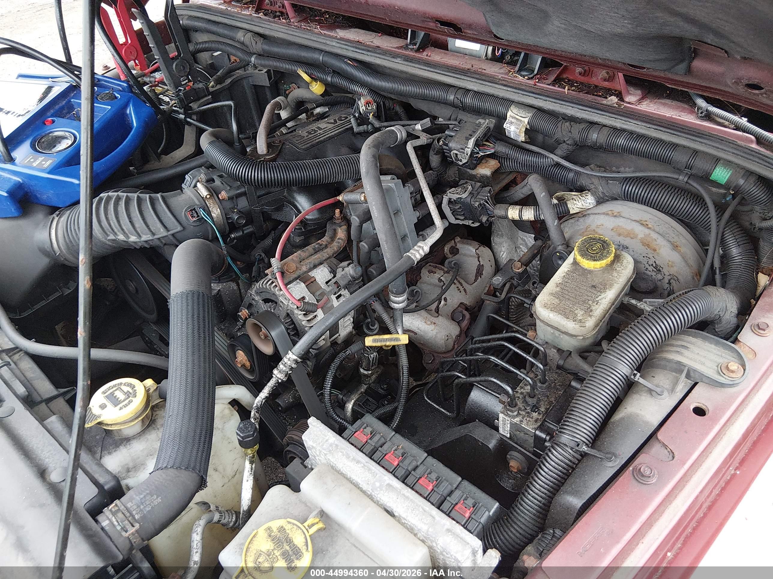 JEEP WRANGLER image 10
