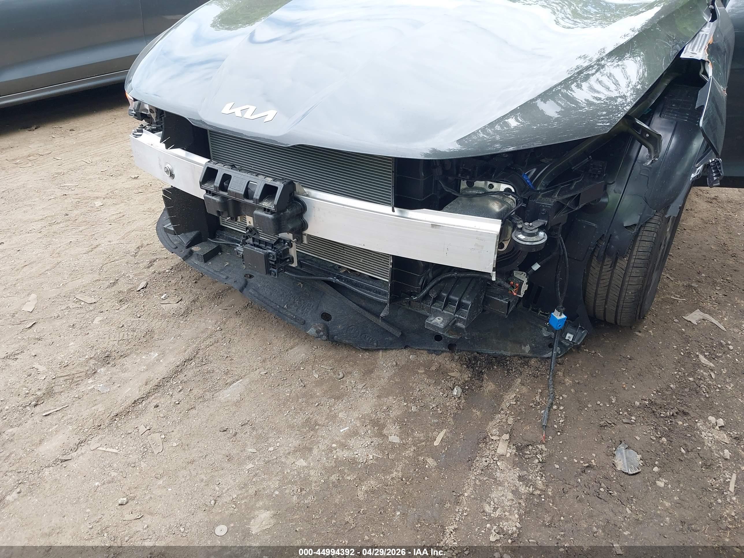 KIA K5 image 6