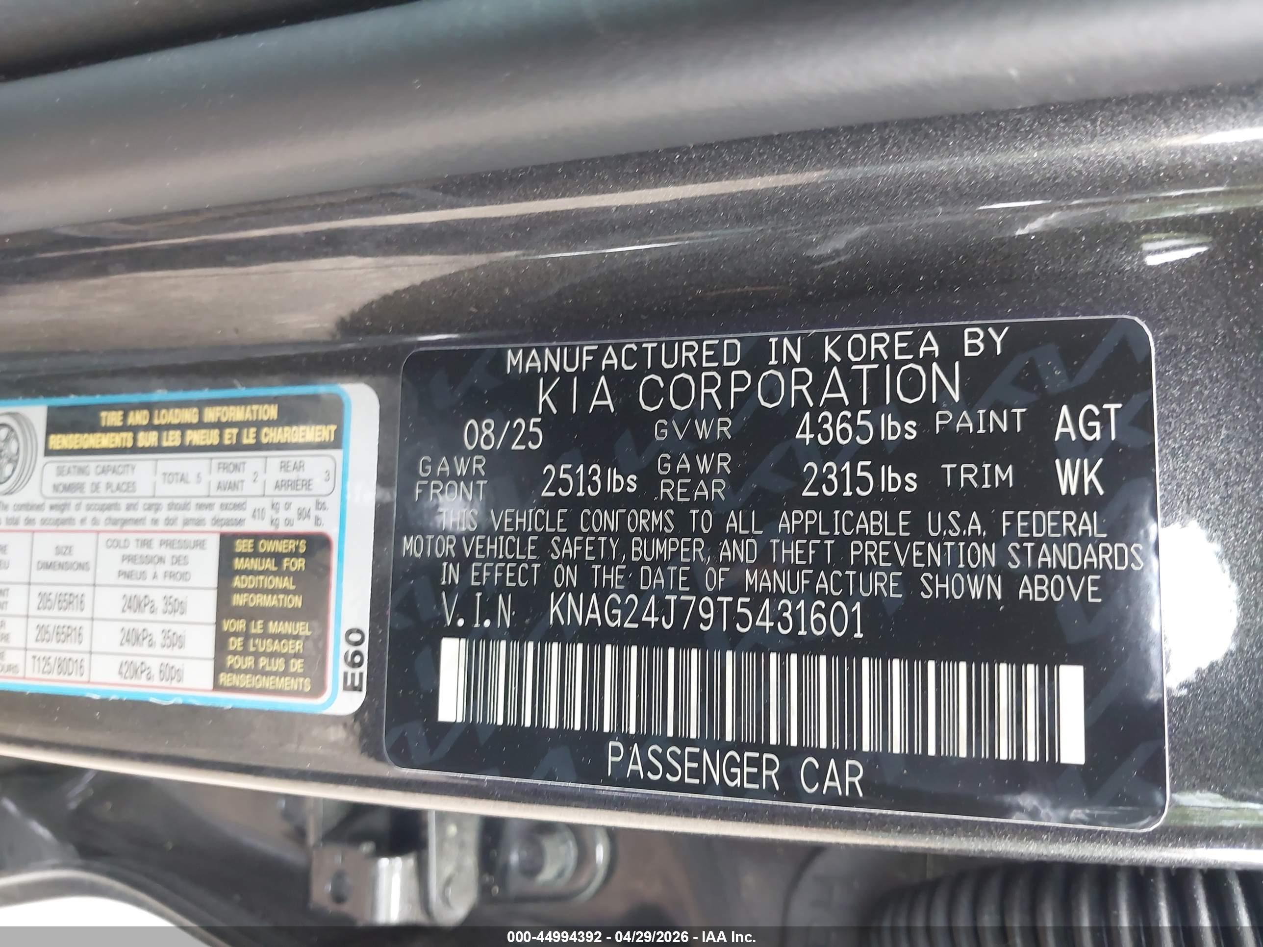 KIA K5 image 9