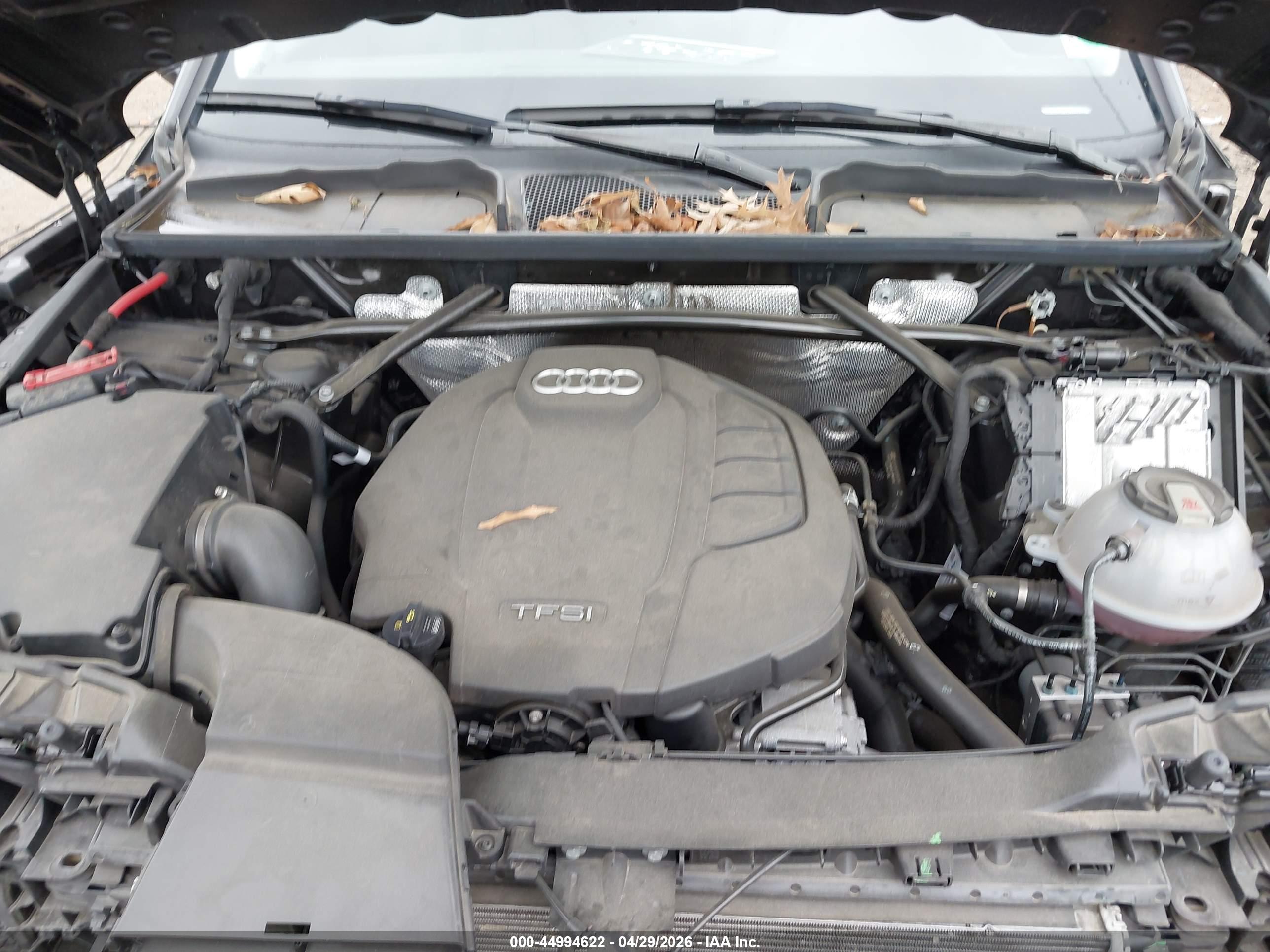 AUDI Q5 image 10