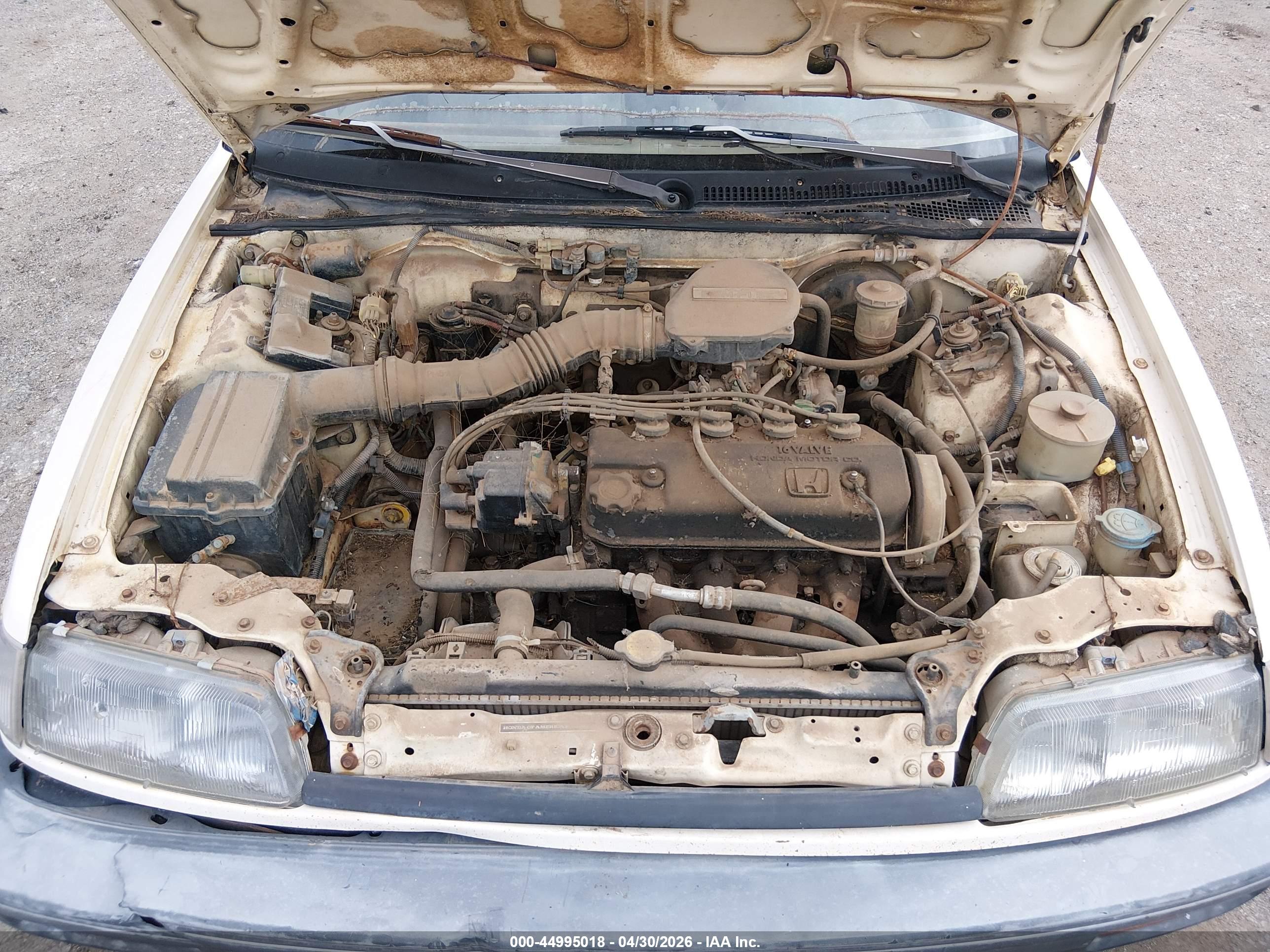 HONDA CIVIC image 10