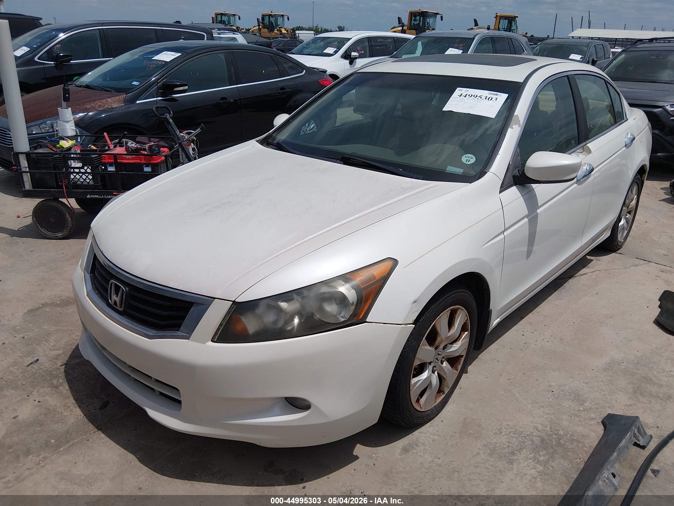 HONDA ACCORD image 2