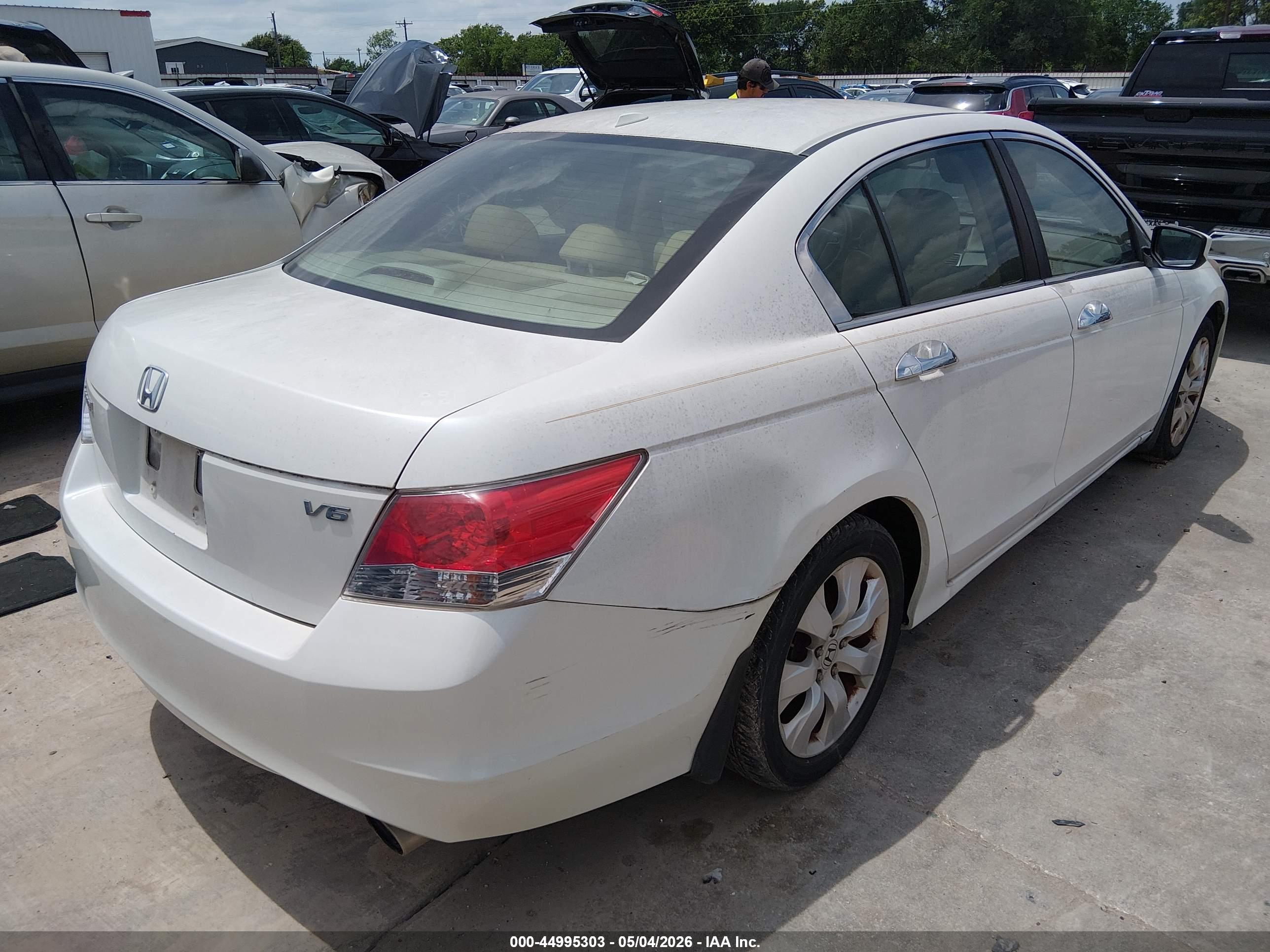 HONDA ACCORD image 4