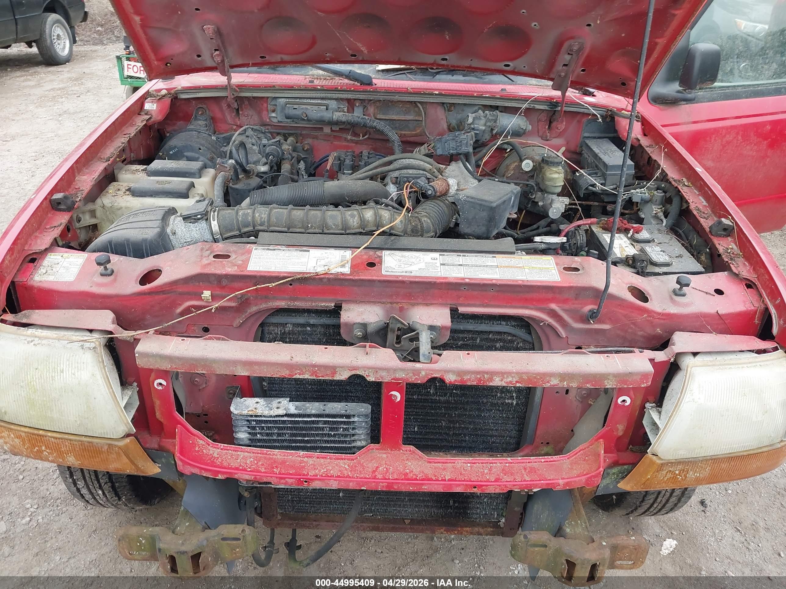 FORD RANGER image 10