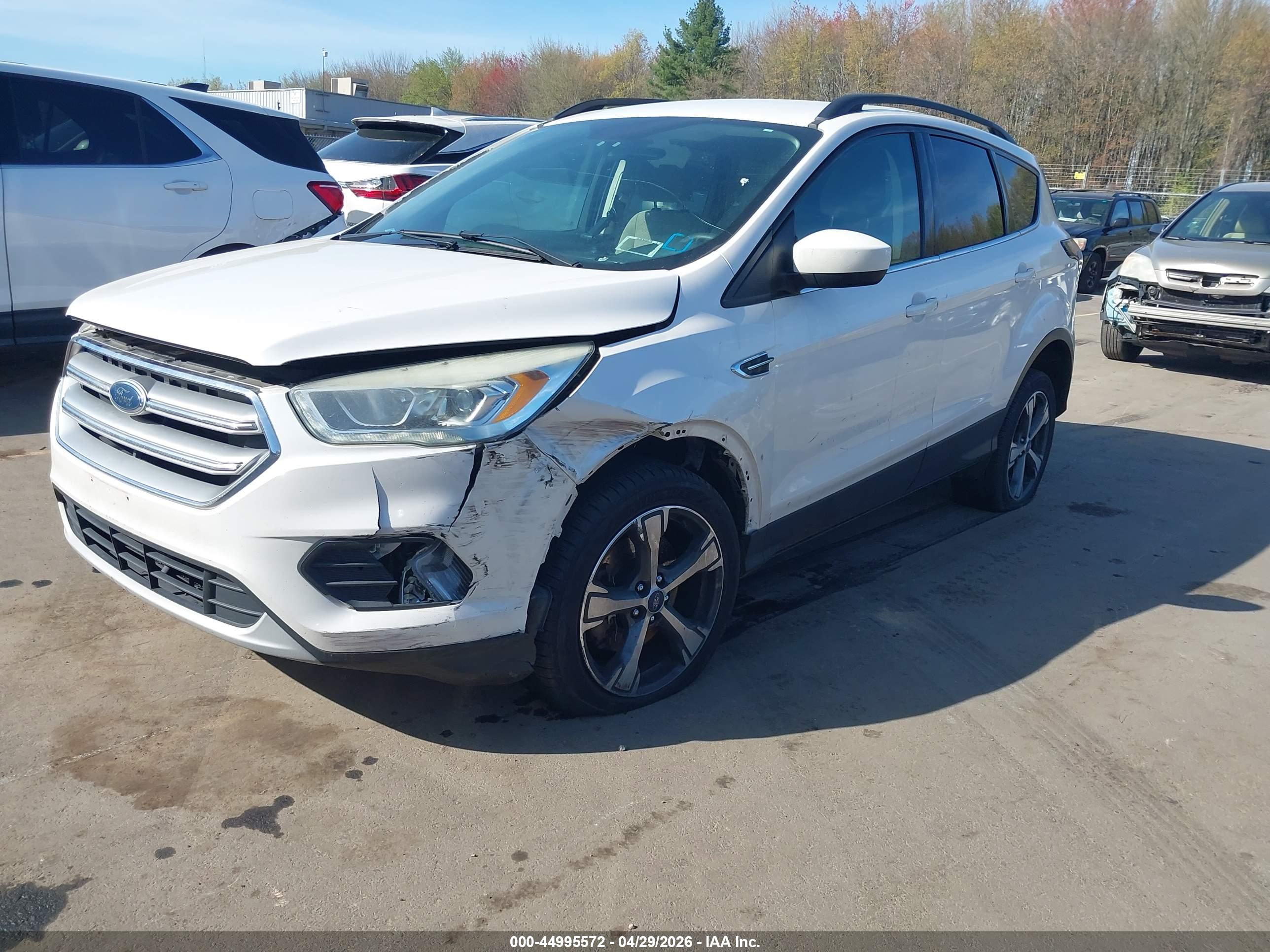 FORD ESCAPE image 2