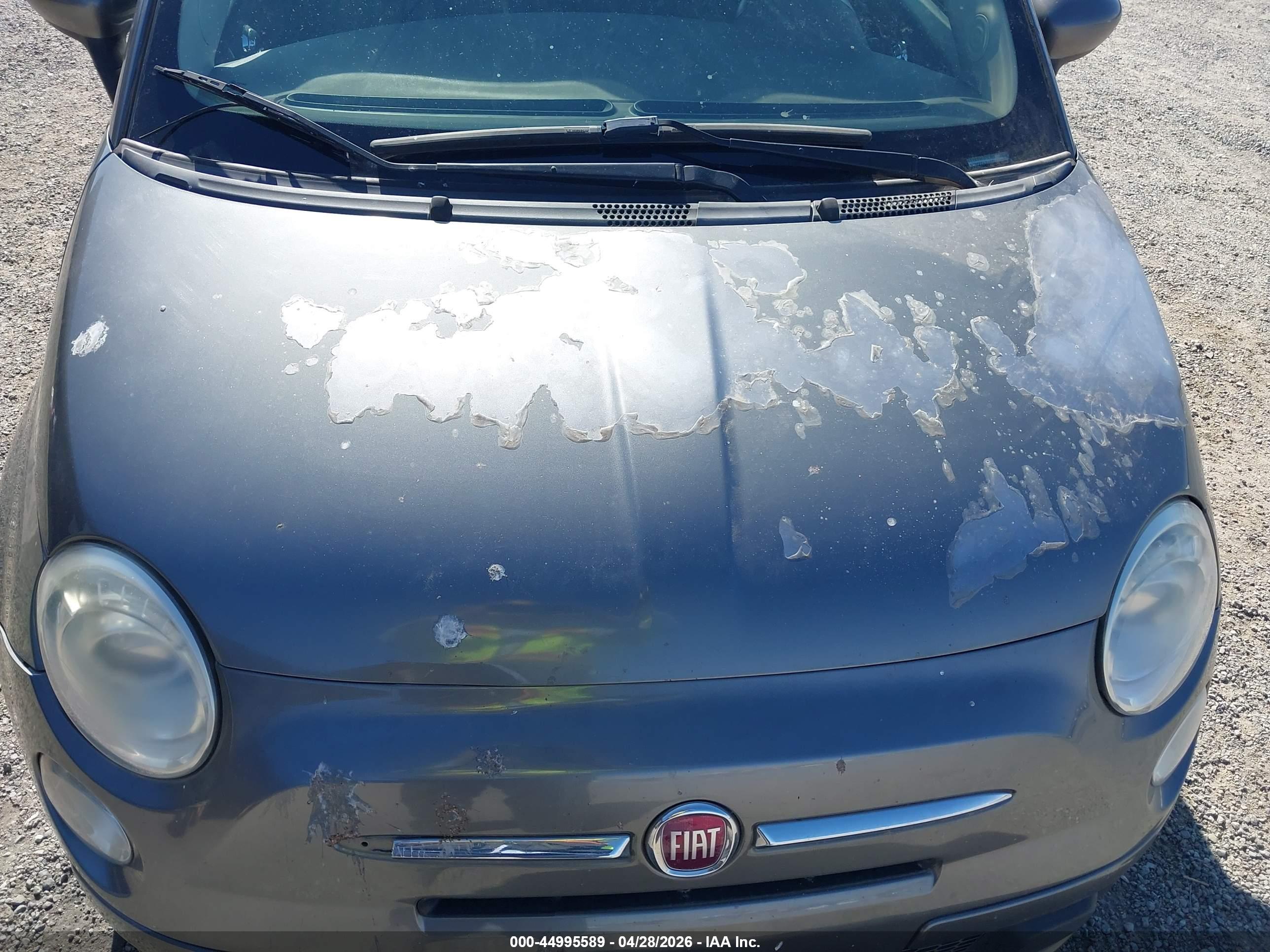 FIAT 500 image 6