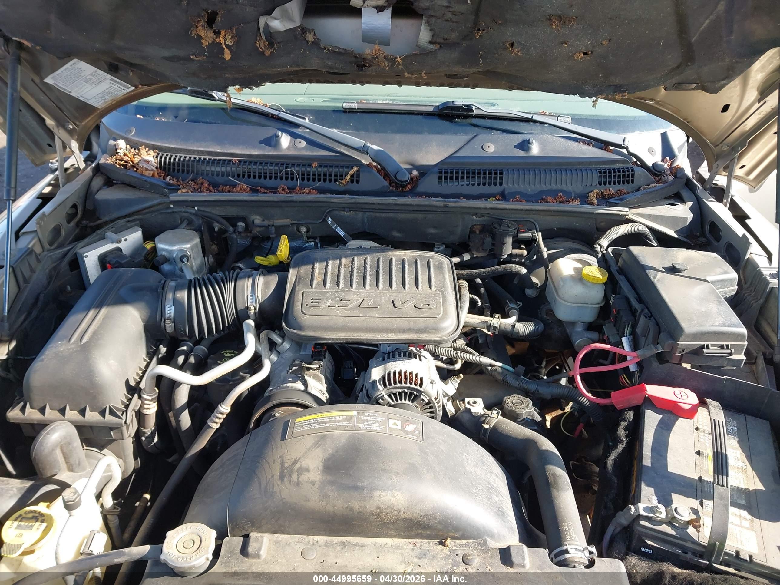 DODGE DAKOTA image 10