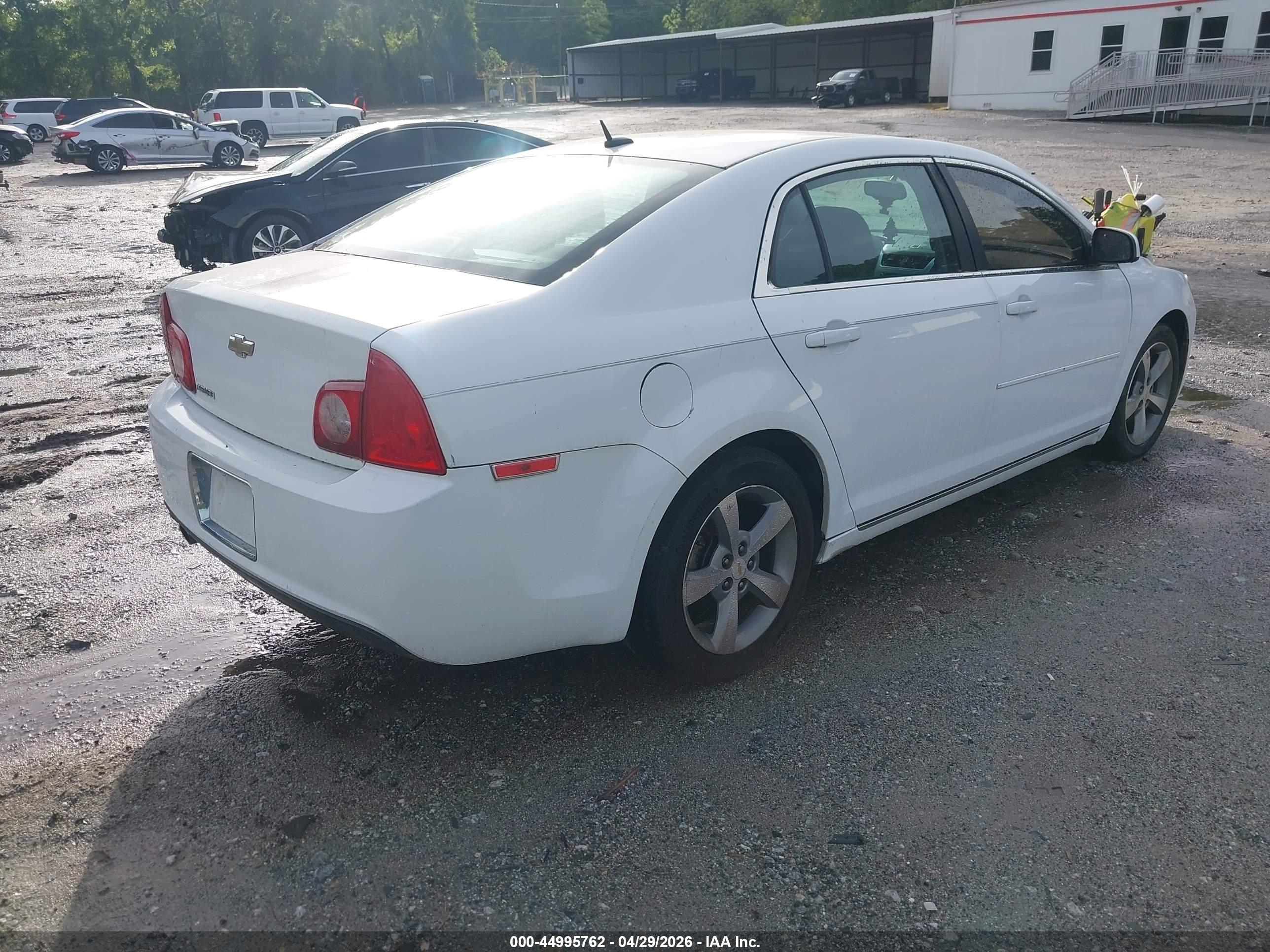 CHEVROLET MALIBU image 4