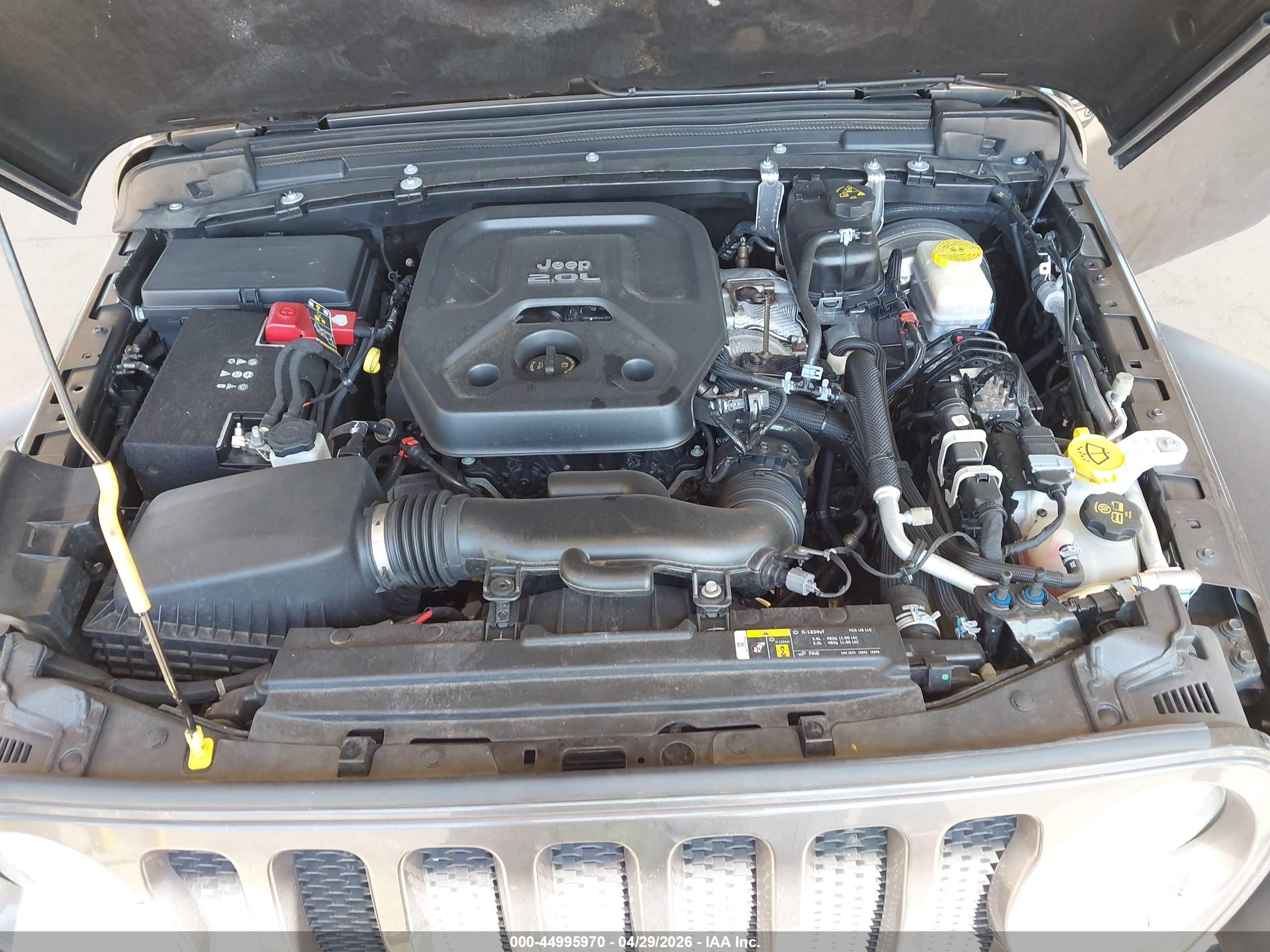JEEP WRANGLER image 10