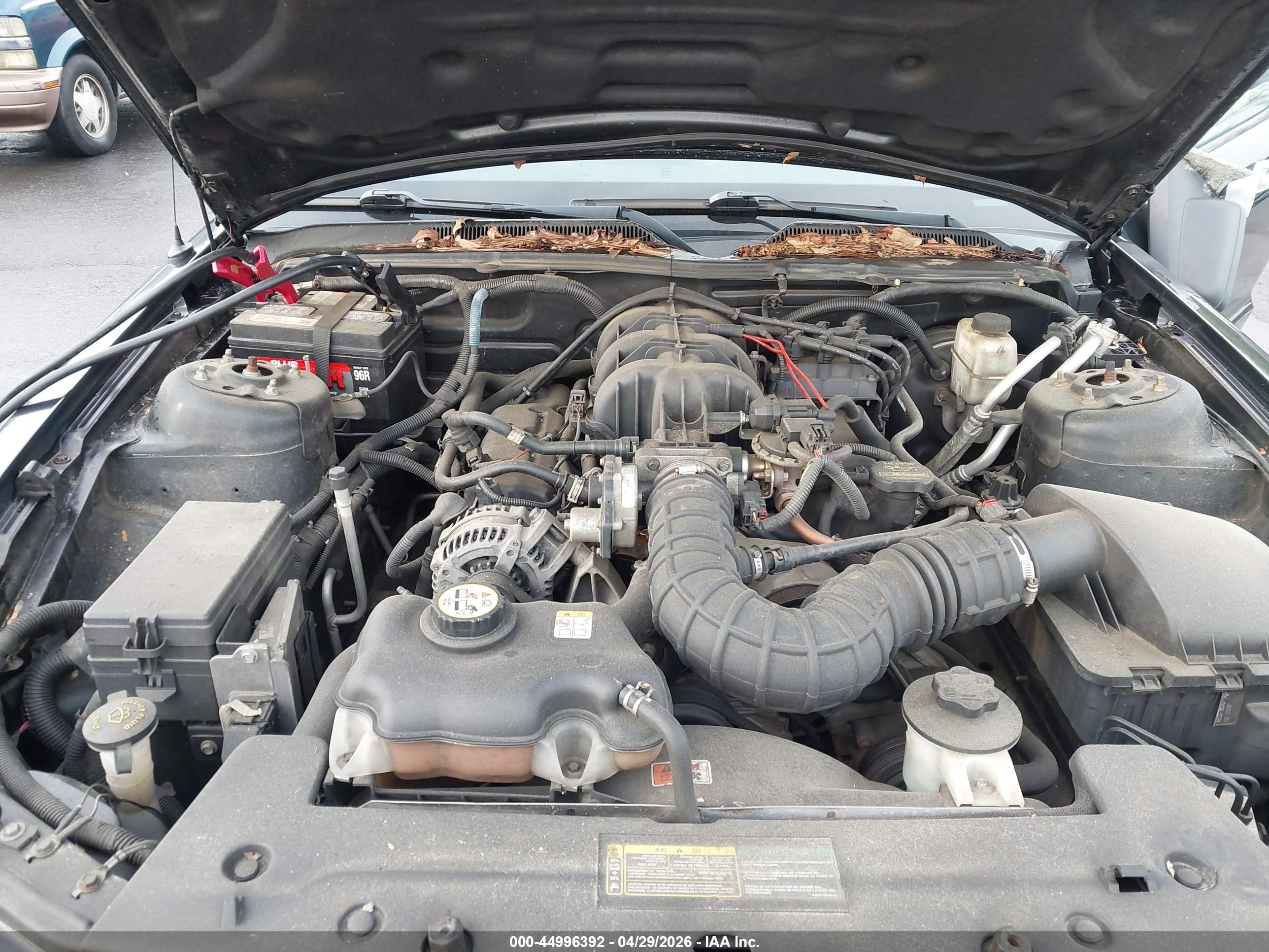 FORD MUSTANG image 10