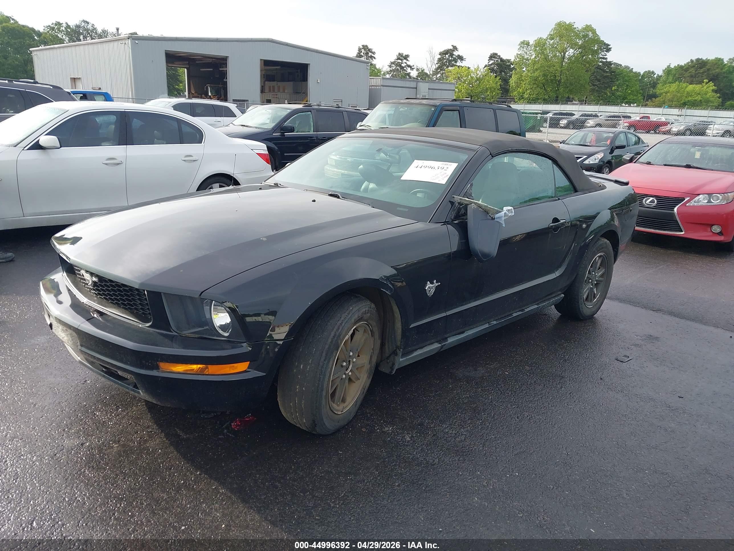 FORD MUSTANG image 2