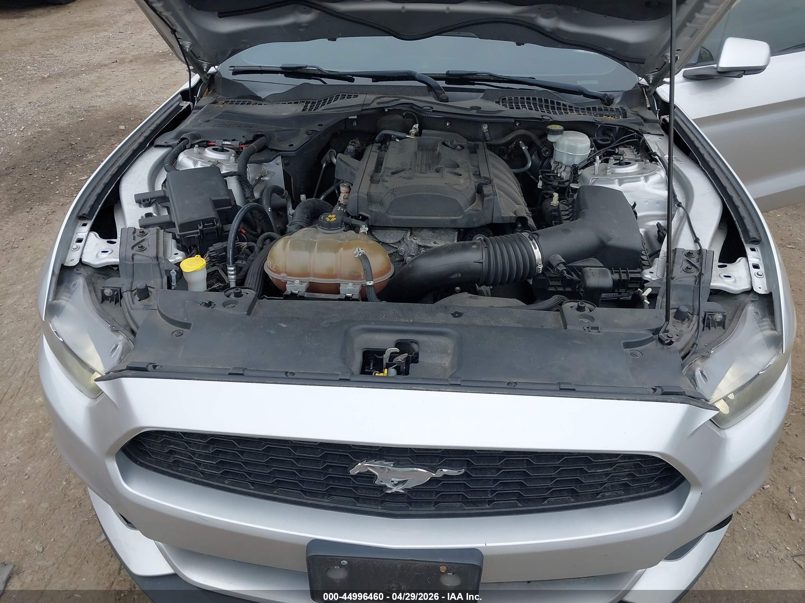 FORD MUSTANG image 10