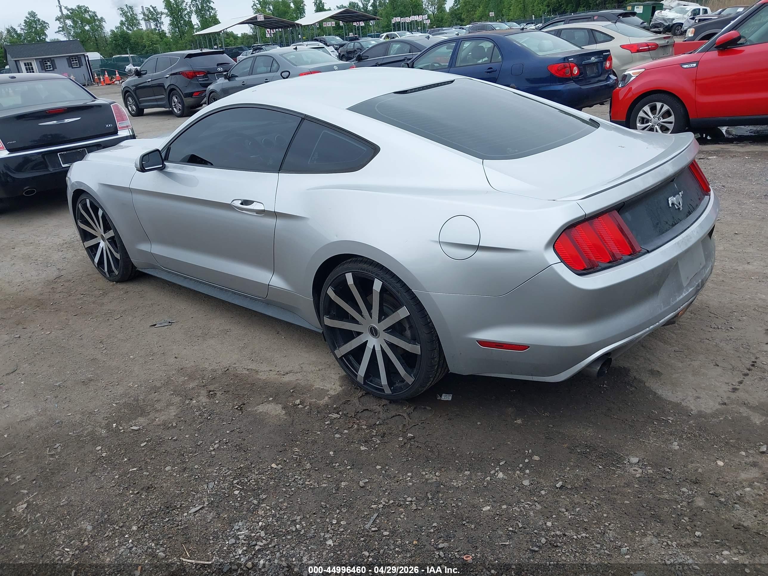 FORD MUSTANG image 3