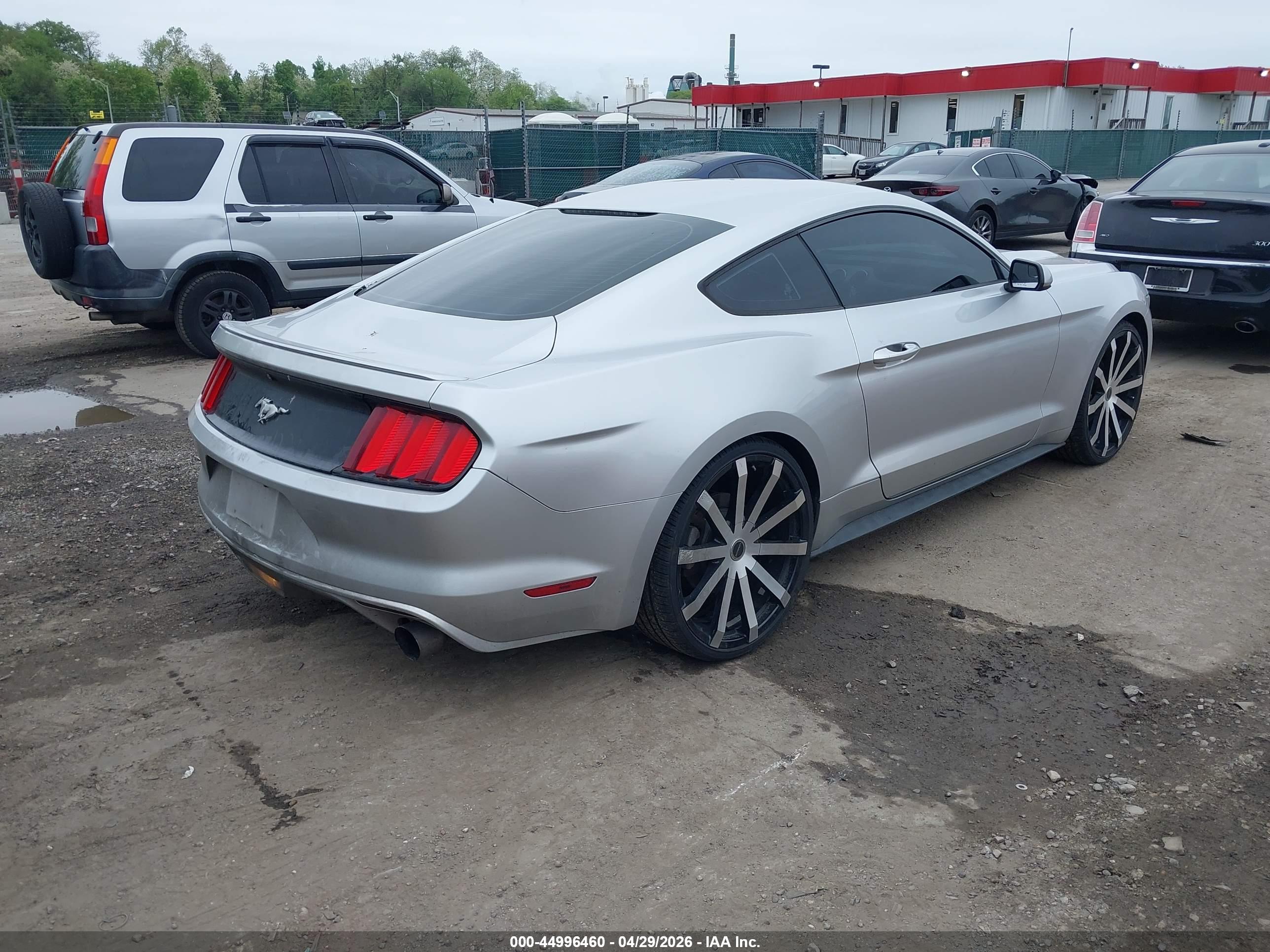 FORD MUSTANG image 4