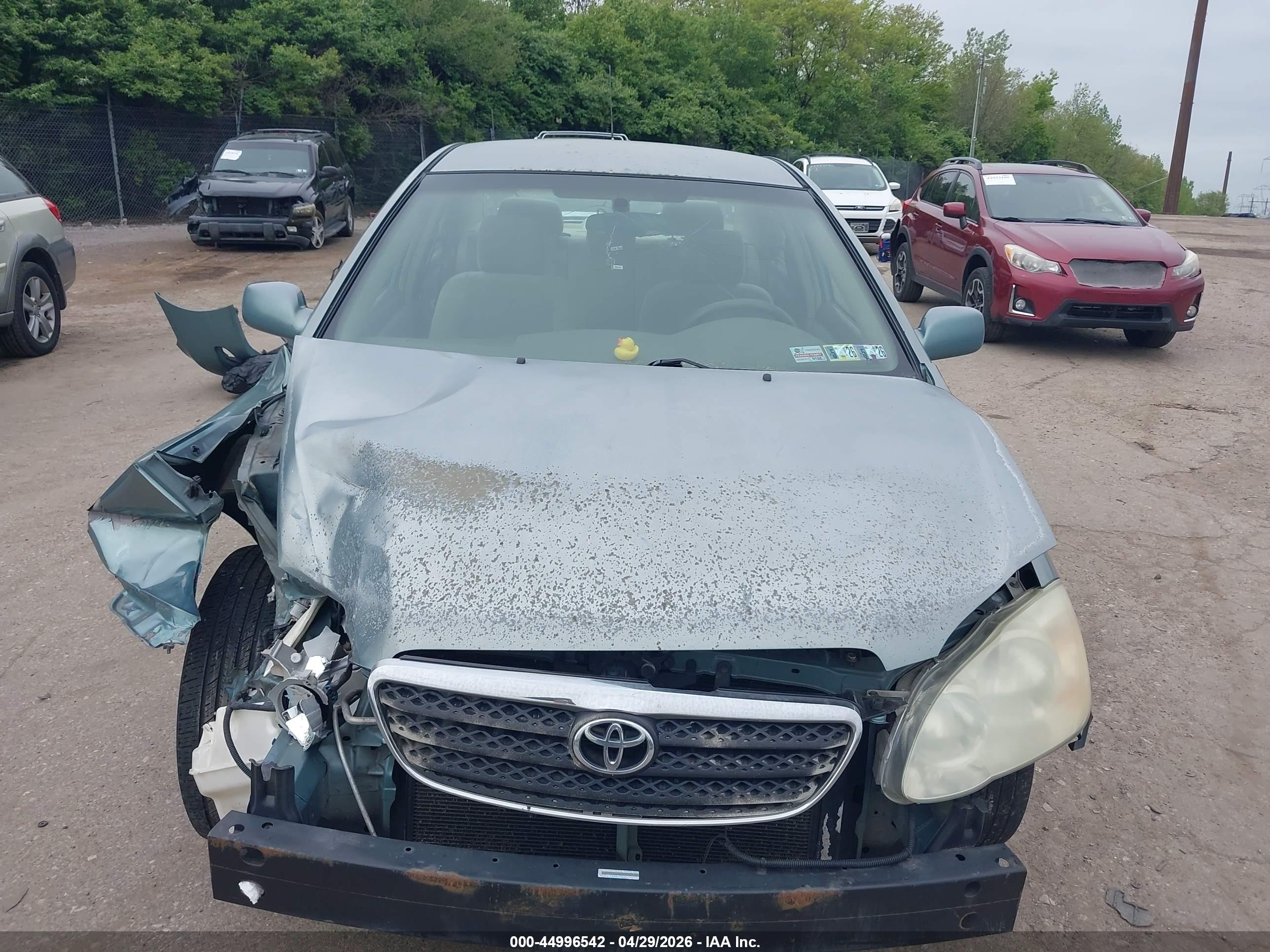 TOYOTA COROLLA image 6