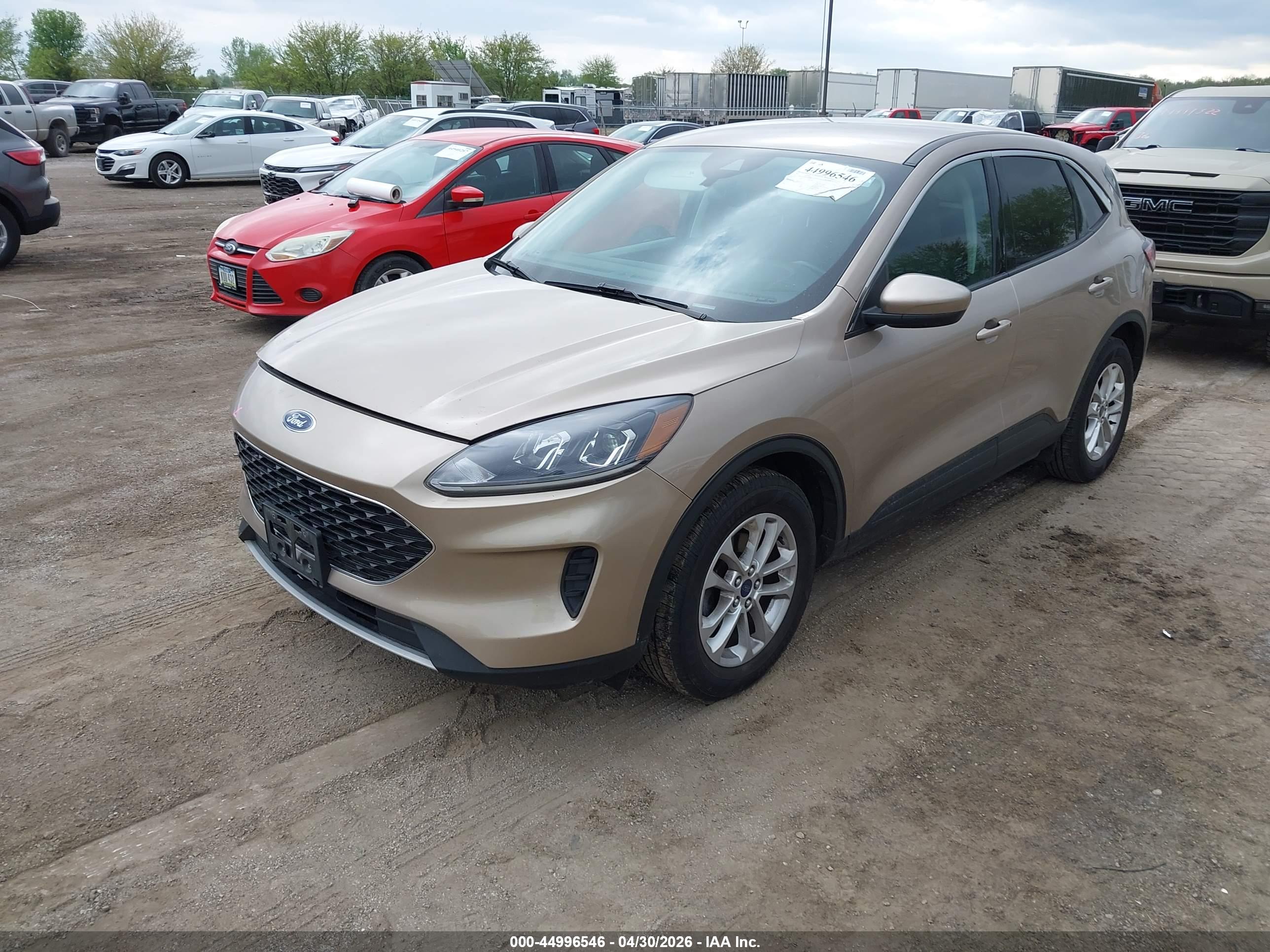 FORD ESCAPE image 2