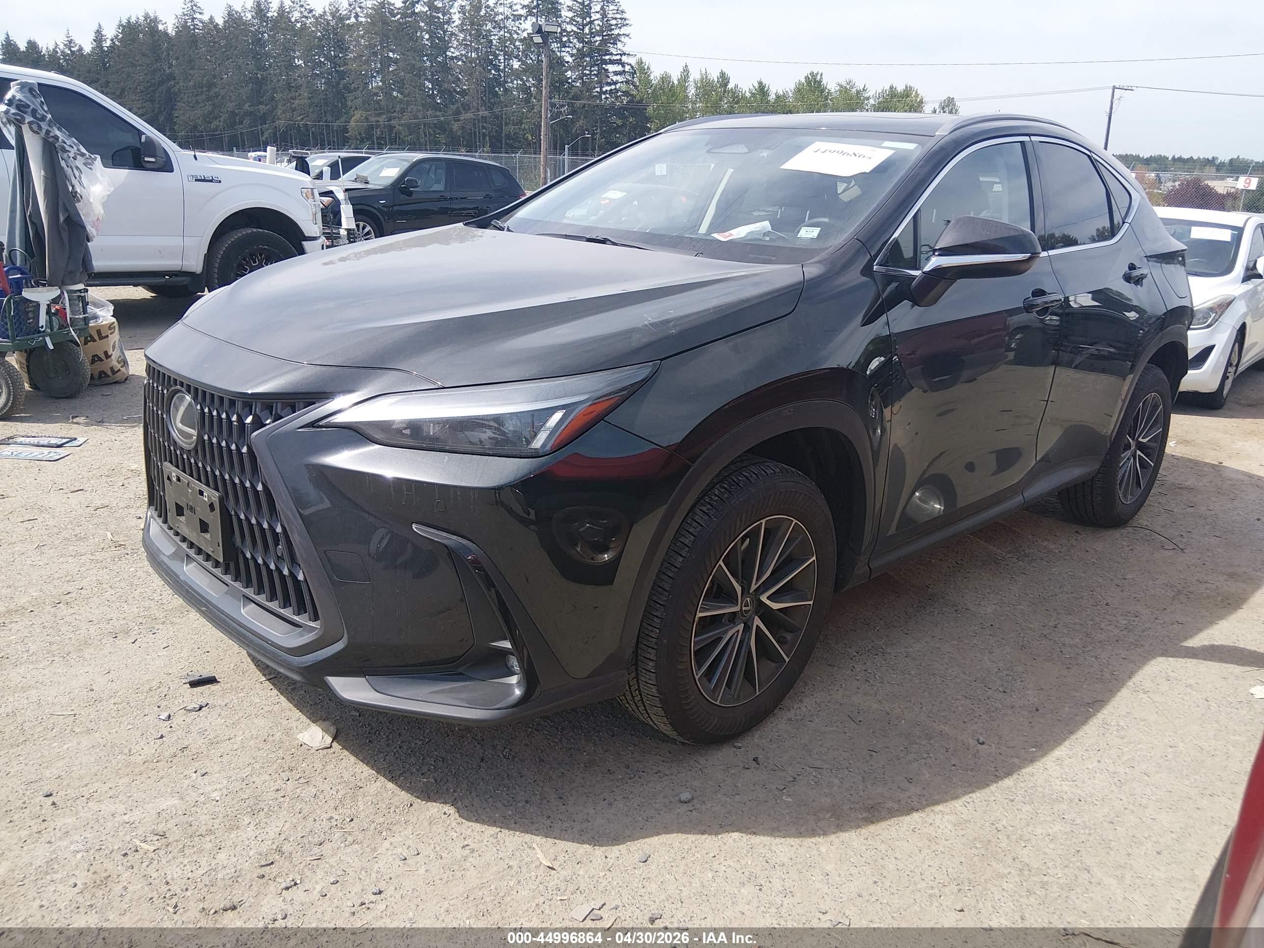 LEXUS NX image 2