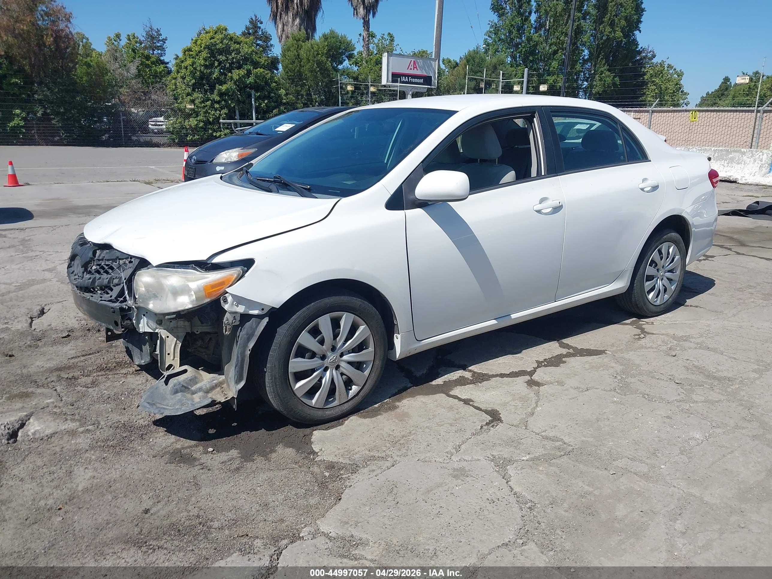 TOYOTA COROLLA image 2