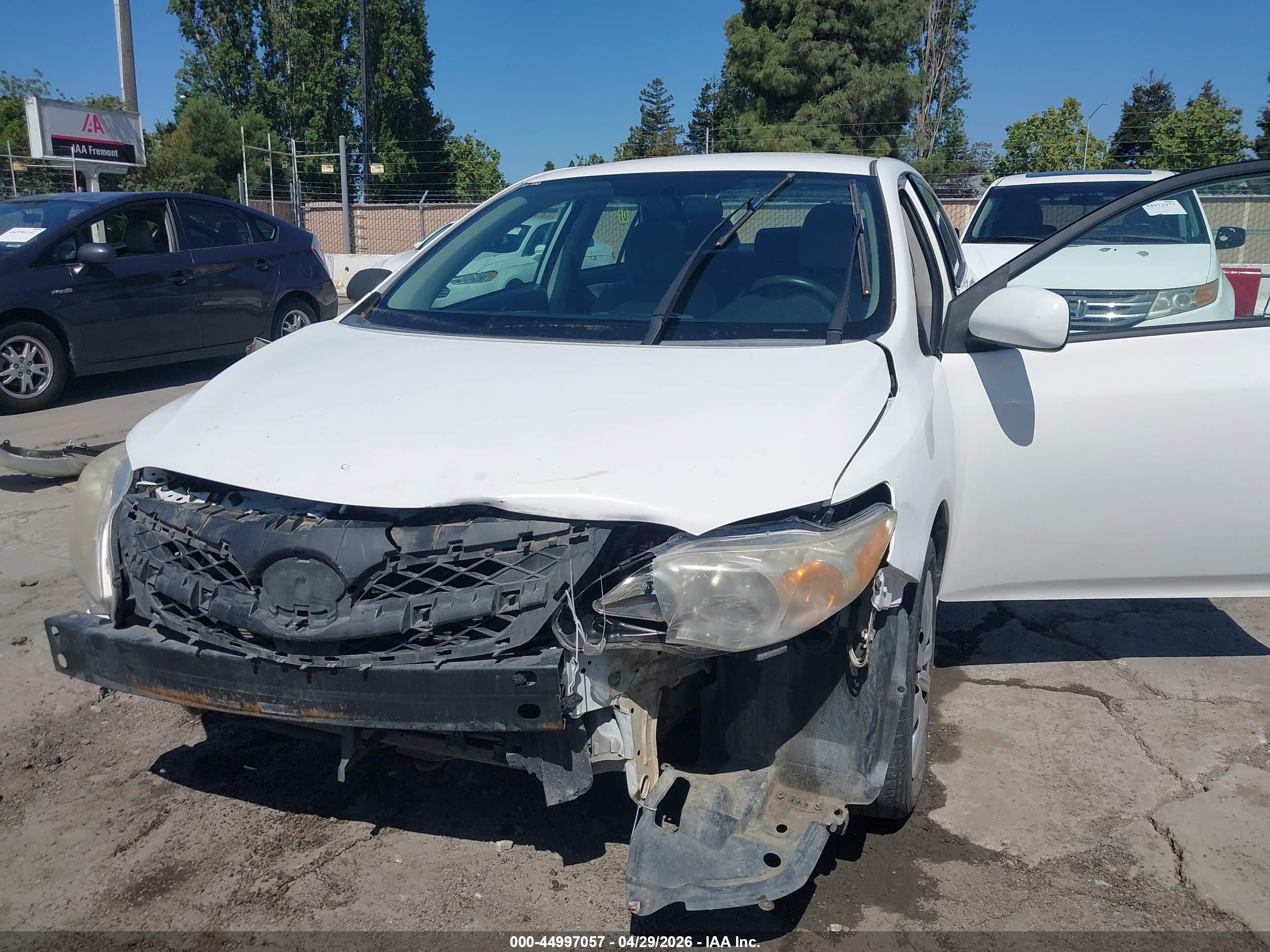 TOYOTA COROLLA image 6