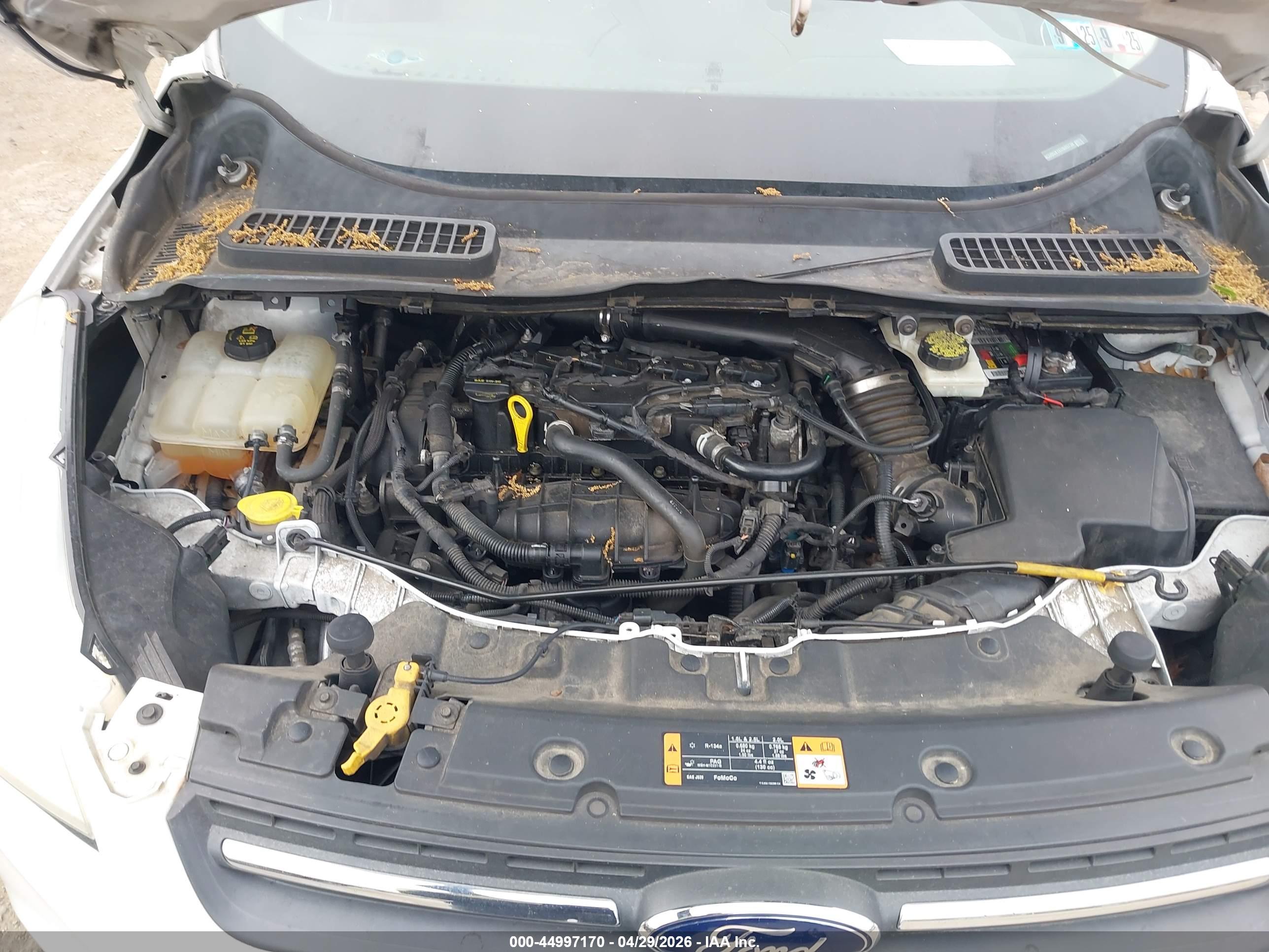 FORD ESCAPE image 10