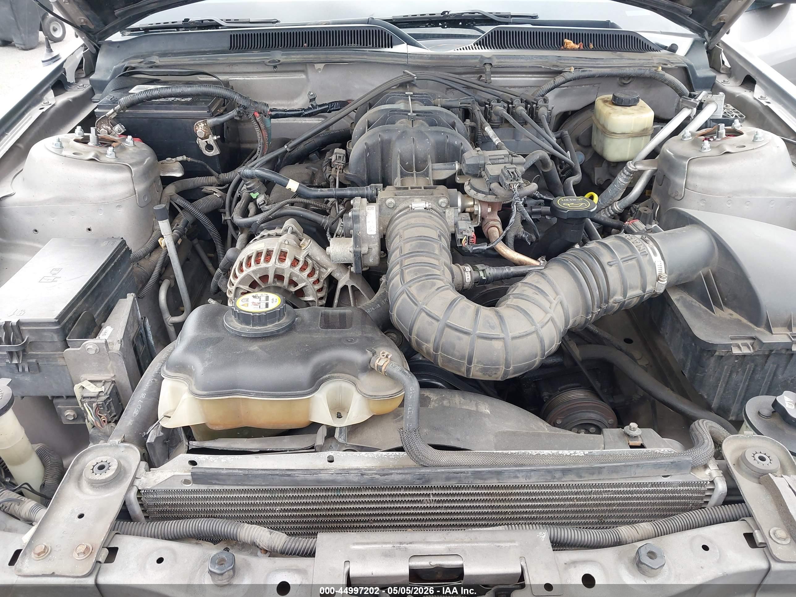 FORD MUSTANG image 10