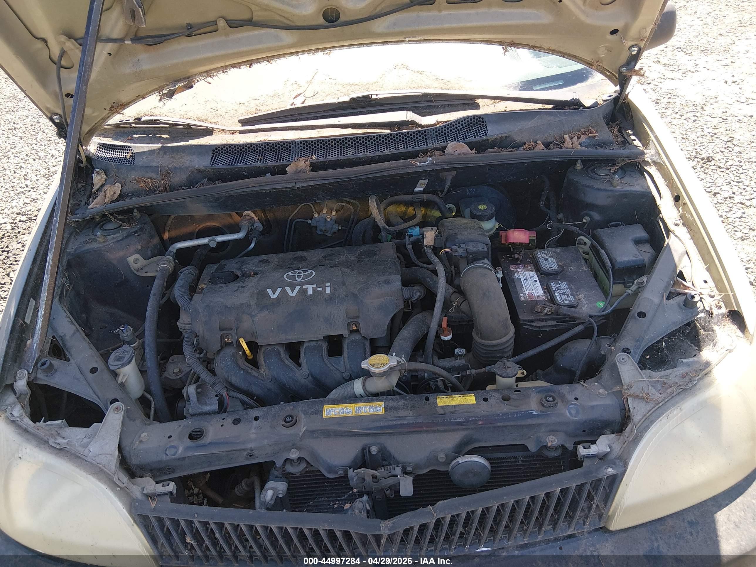 TOYOTA ECHO image 10