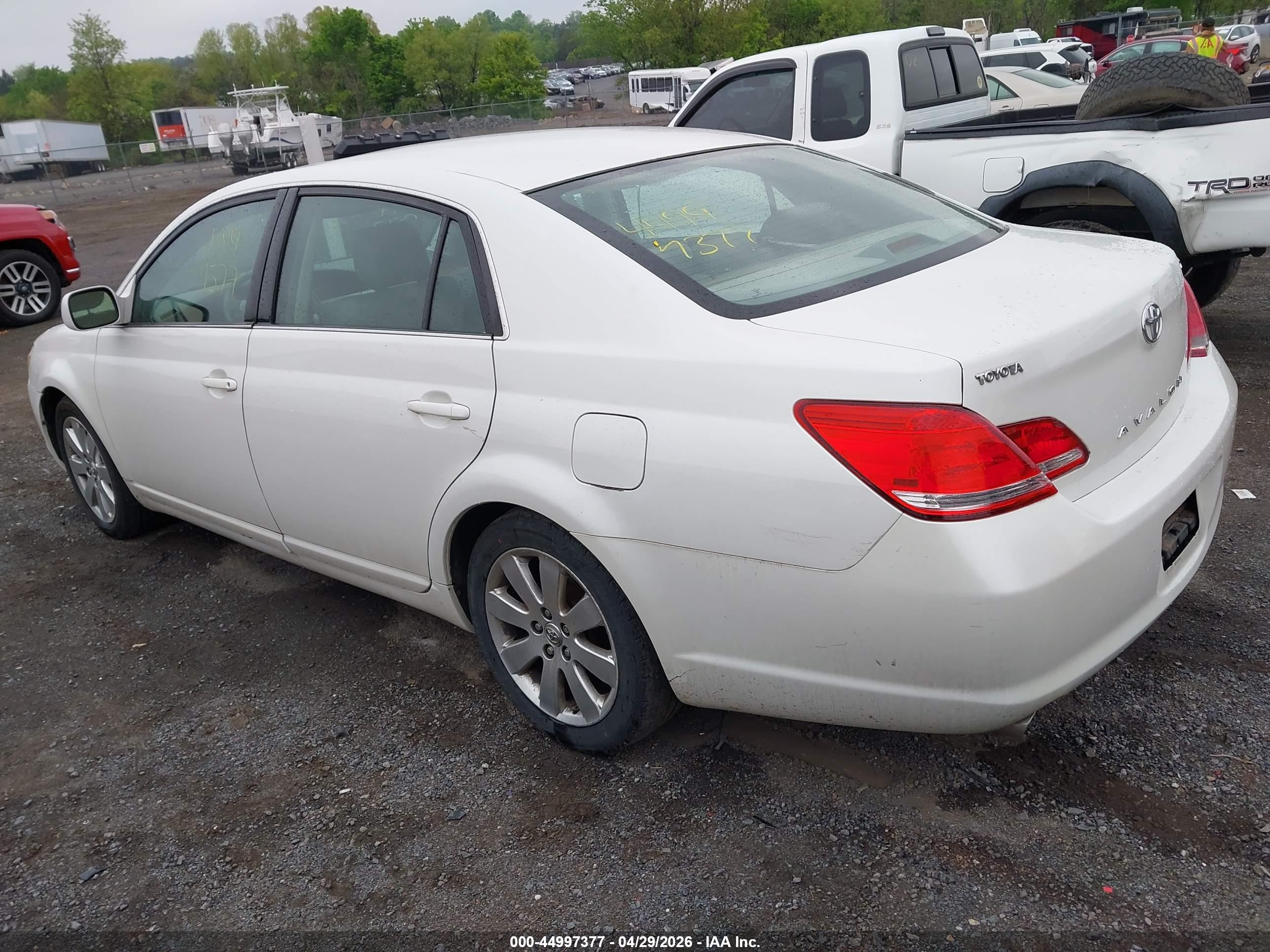 TOYOTA AVALON image 3