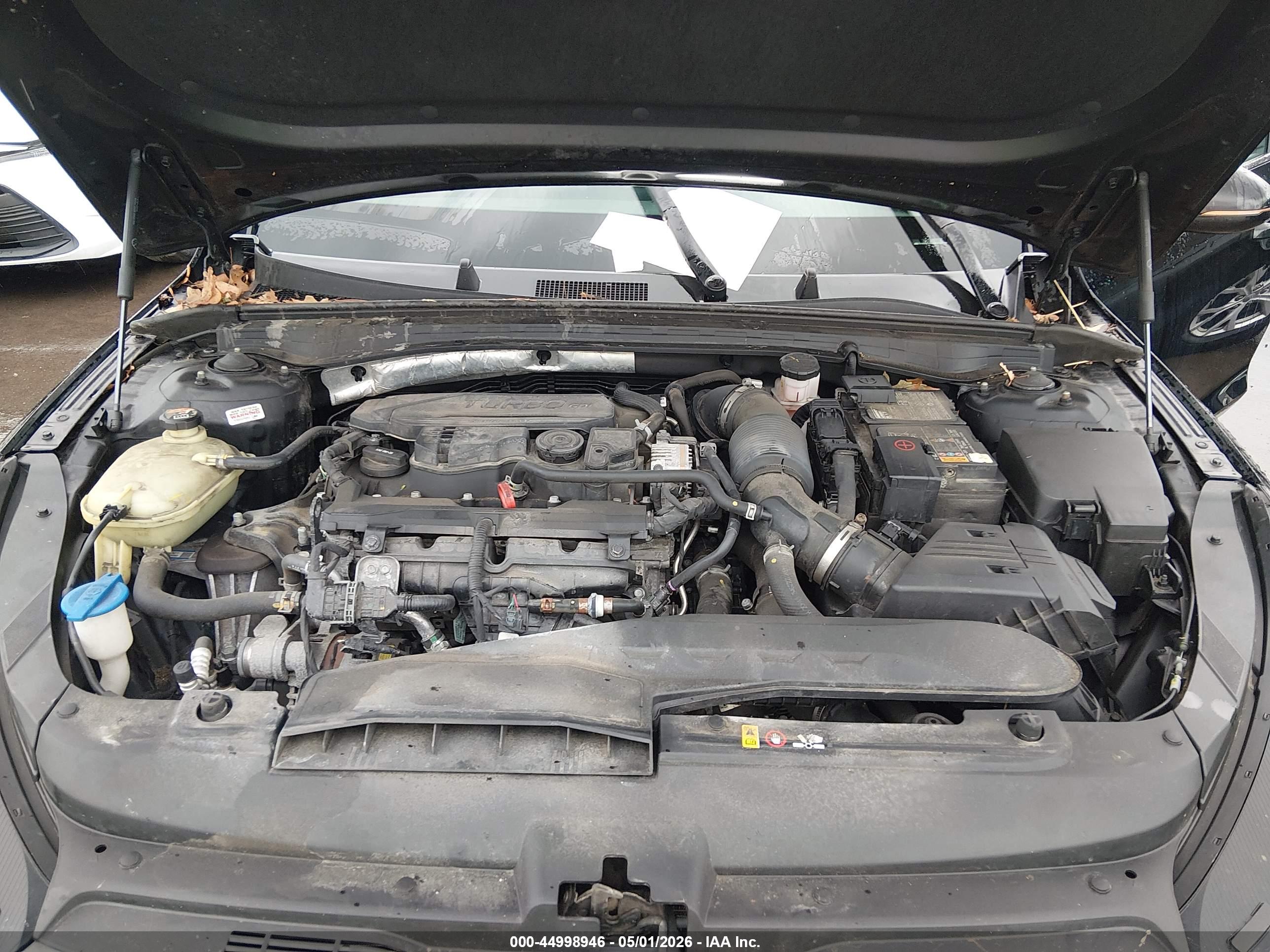 KIA K5 image 10